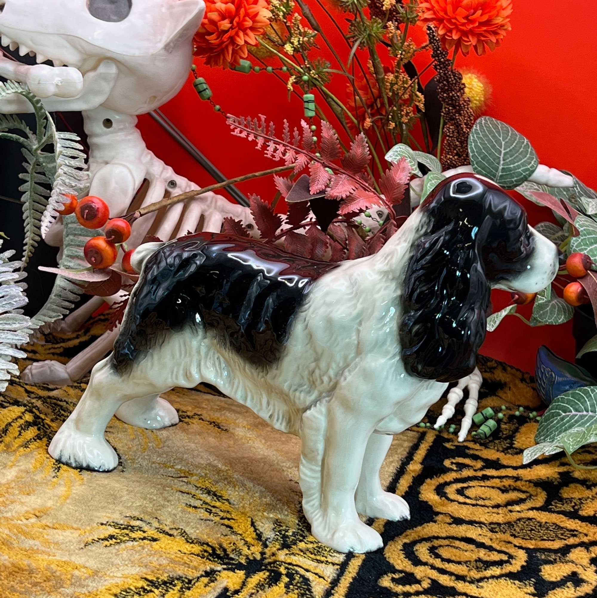 dog2-pod60.jpg