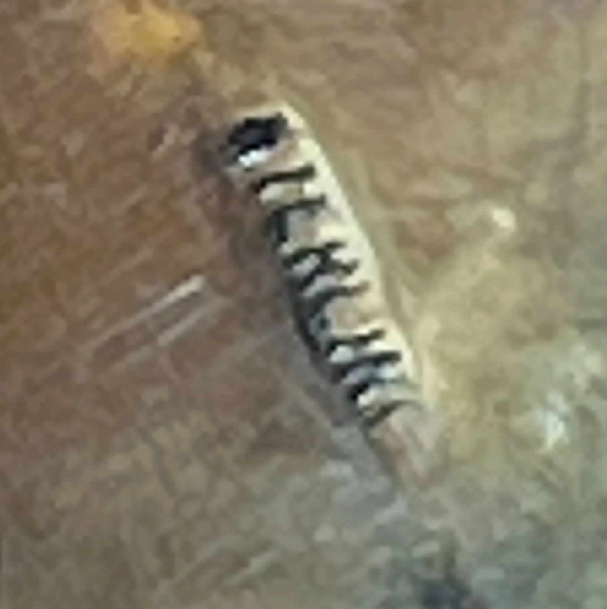 navajo7-pod88.jpg