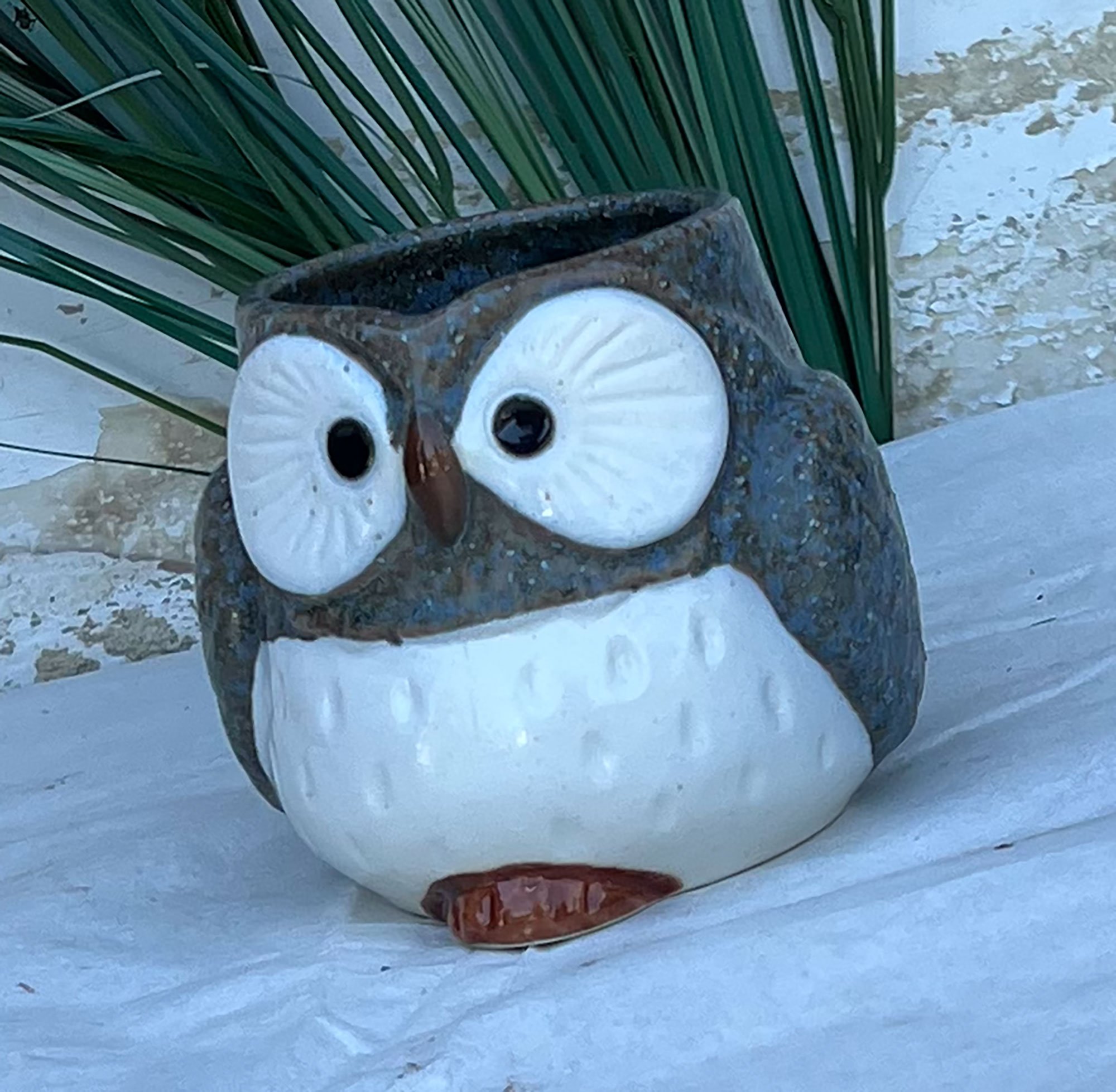 blueowl2-pod28.jpg