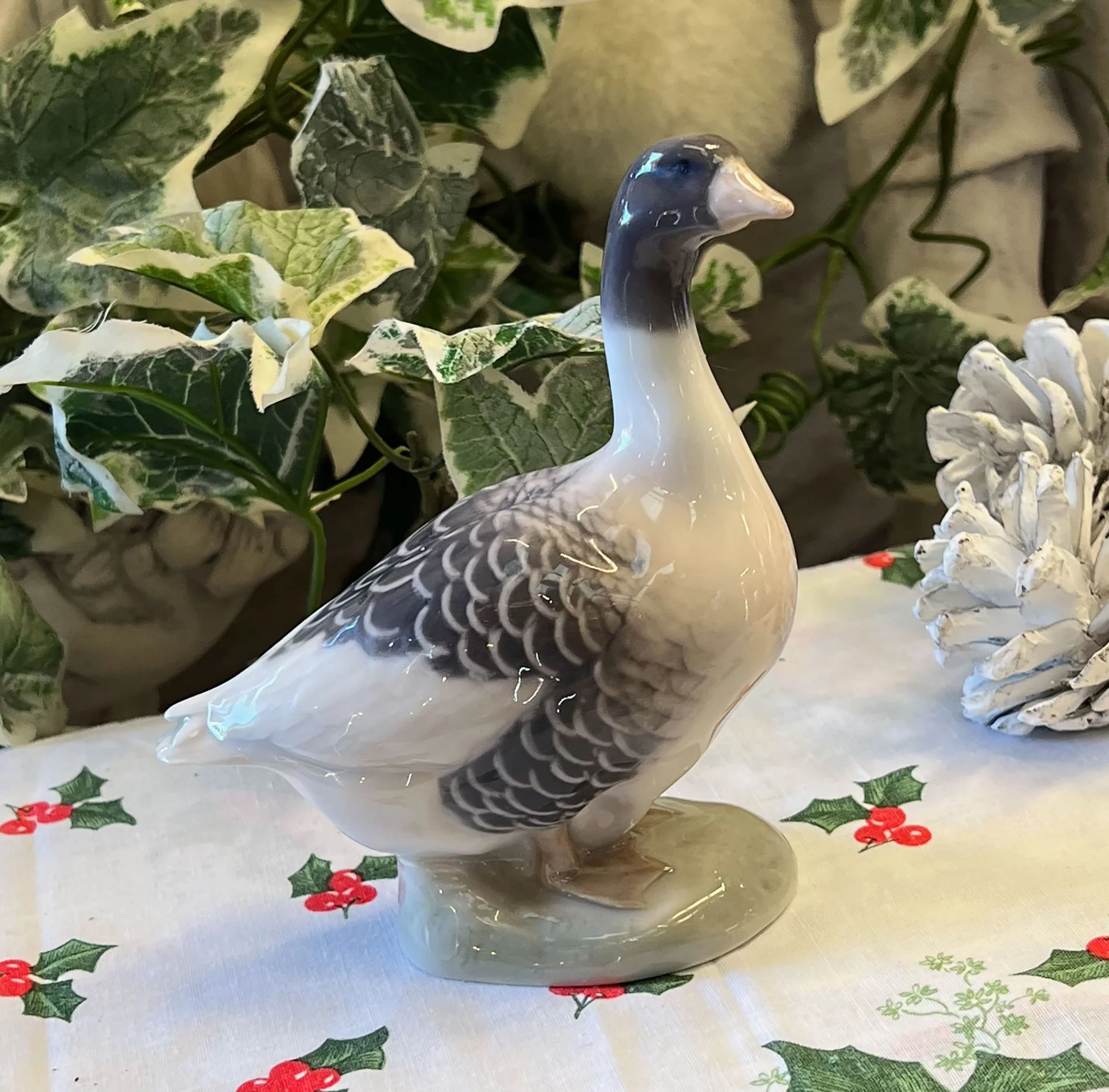 goose1-pod24.jpg