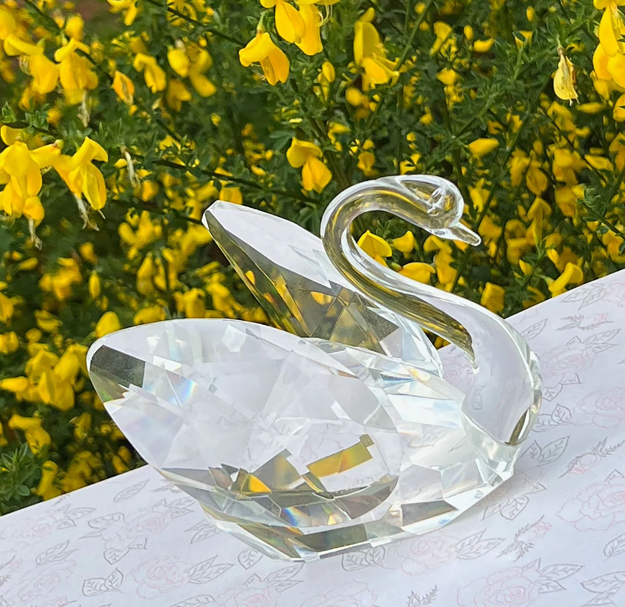 swan2-pod16.jpg