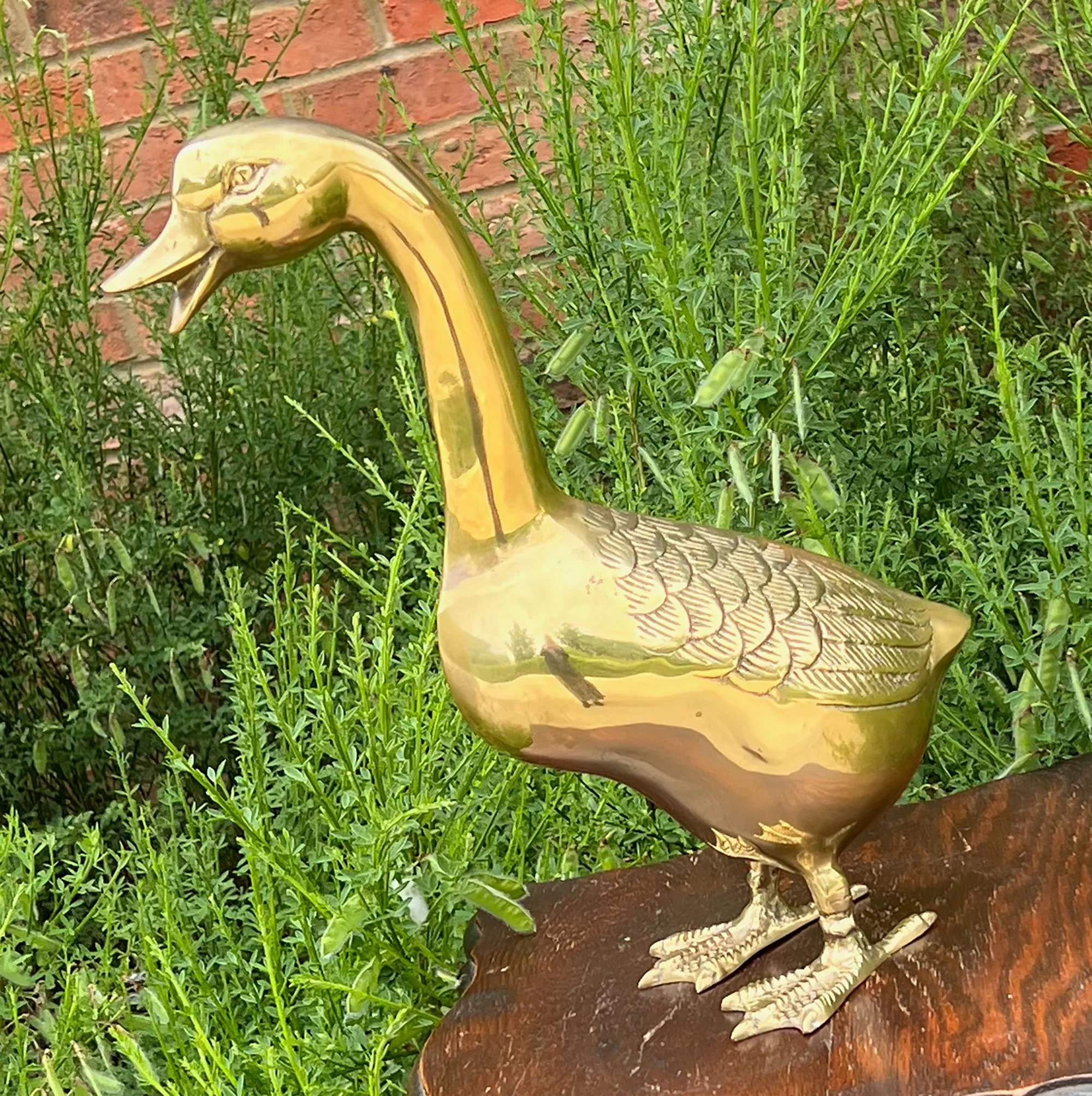 Large brass duck