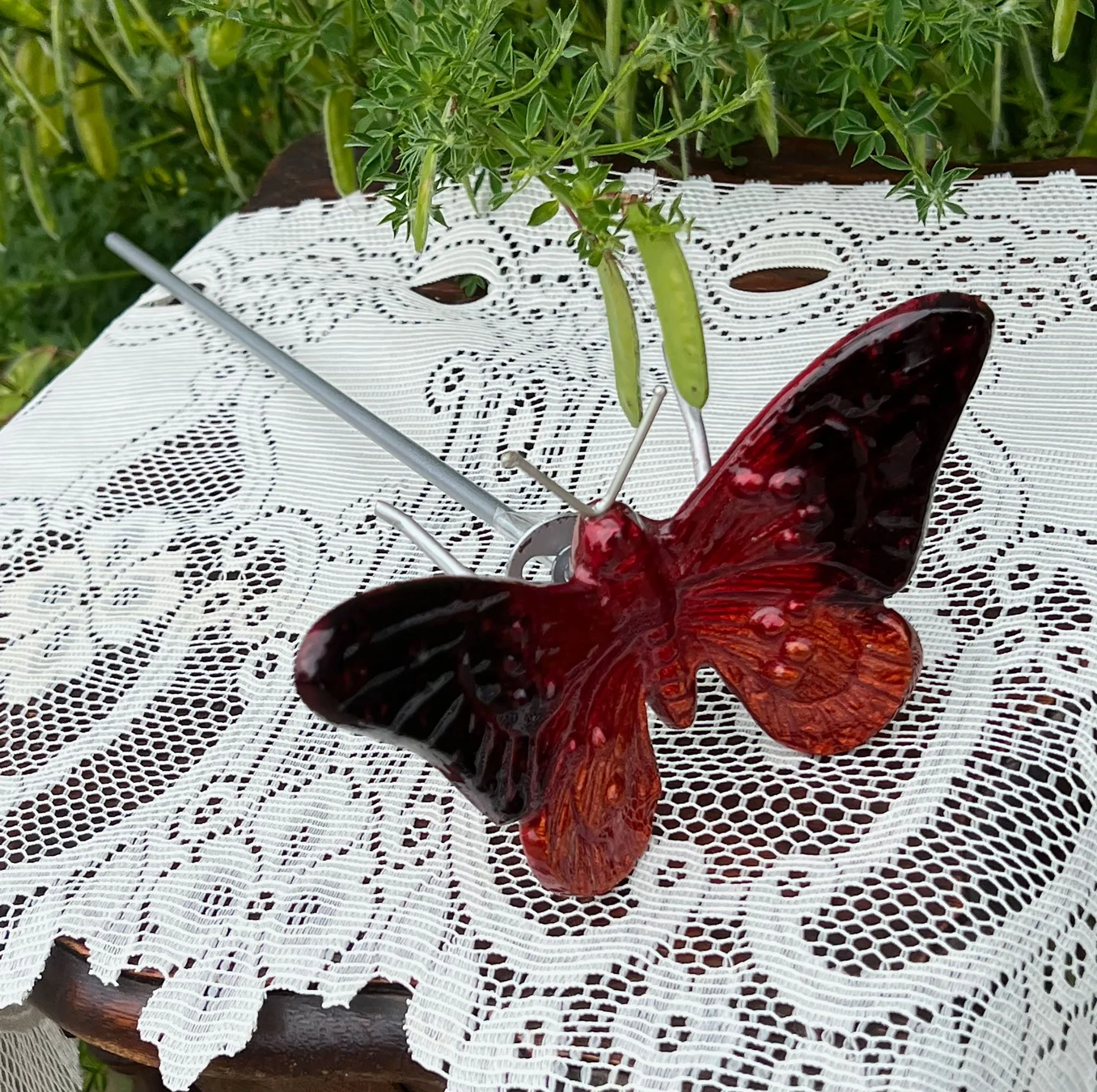 butterfly-.jpg