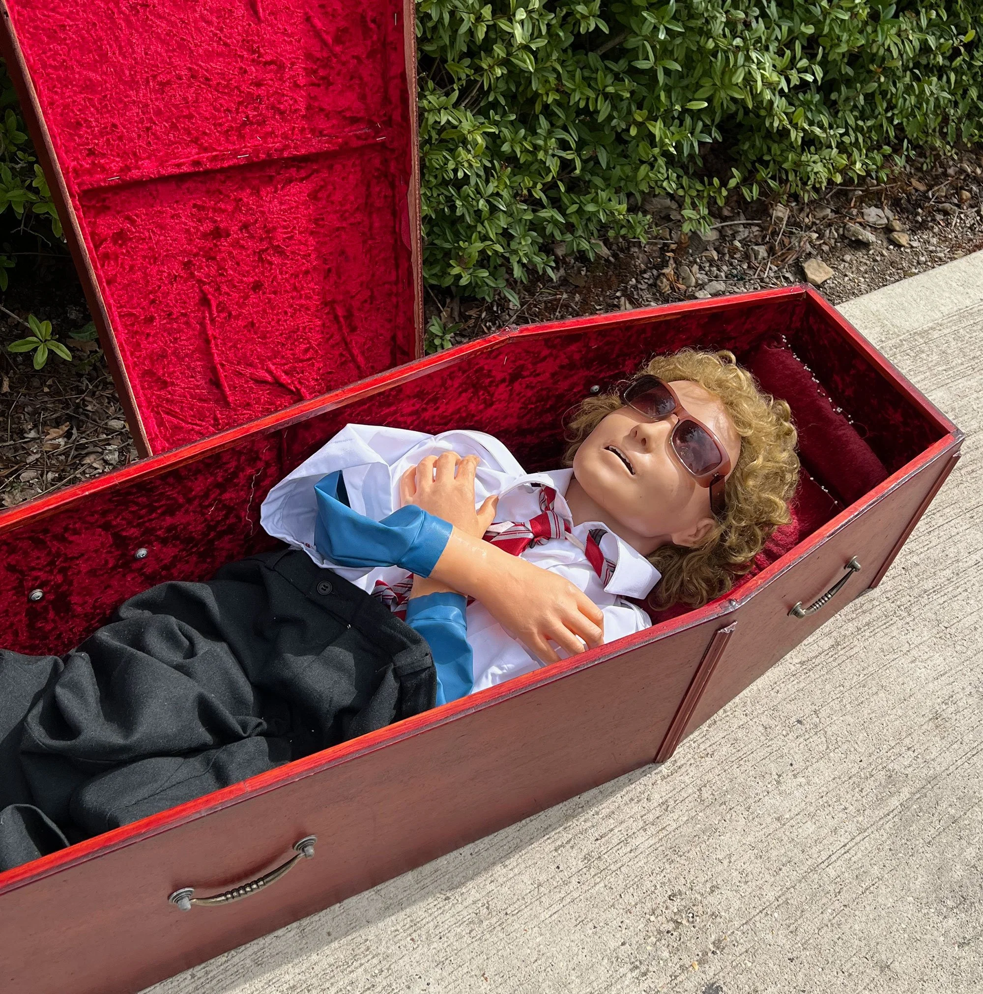 coffin3-pod16.jpg