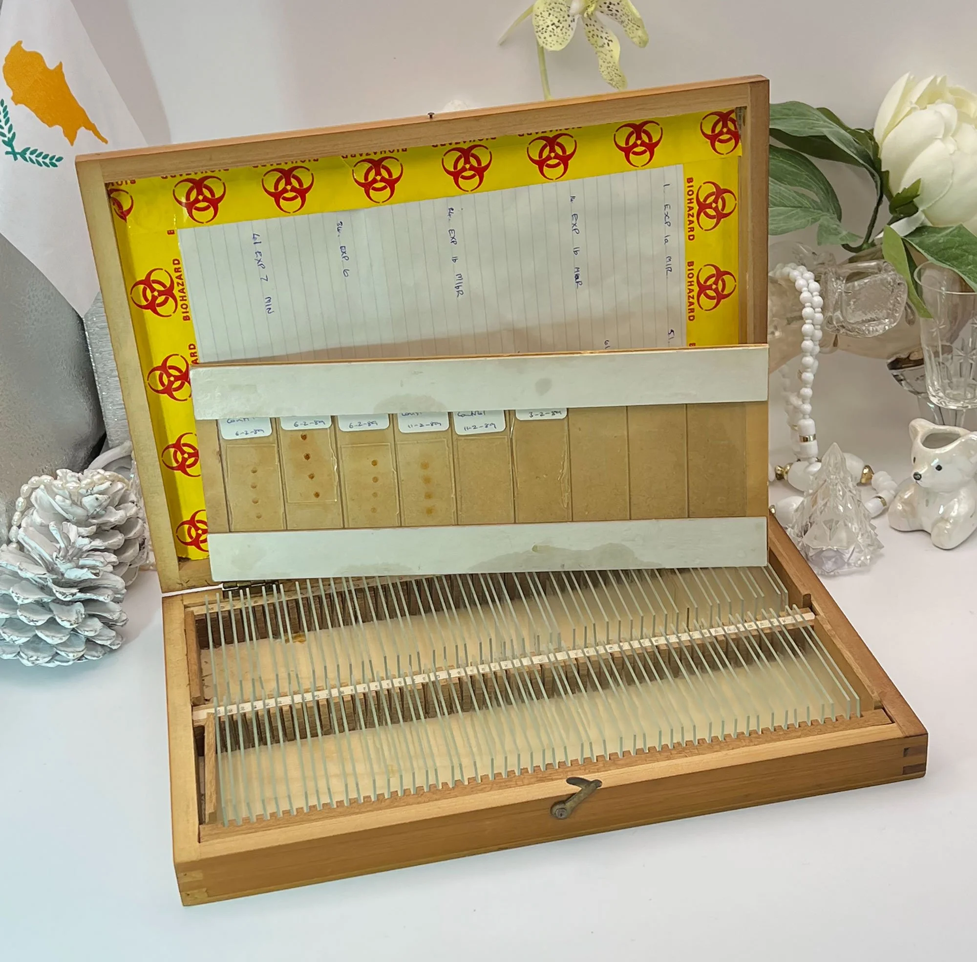 Microscope Glass Slides