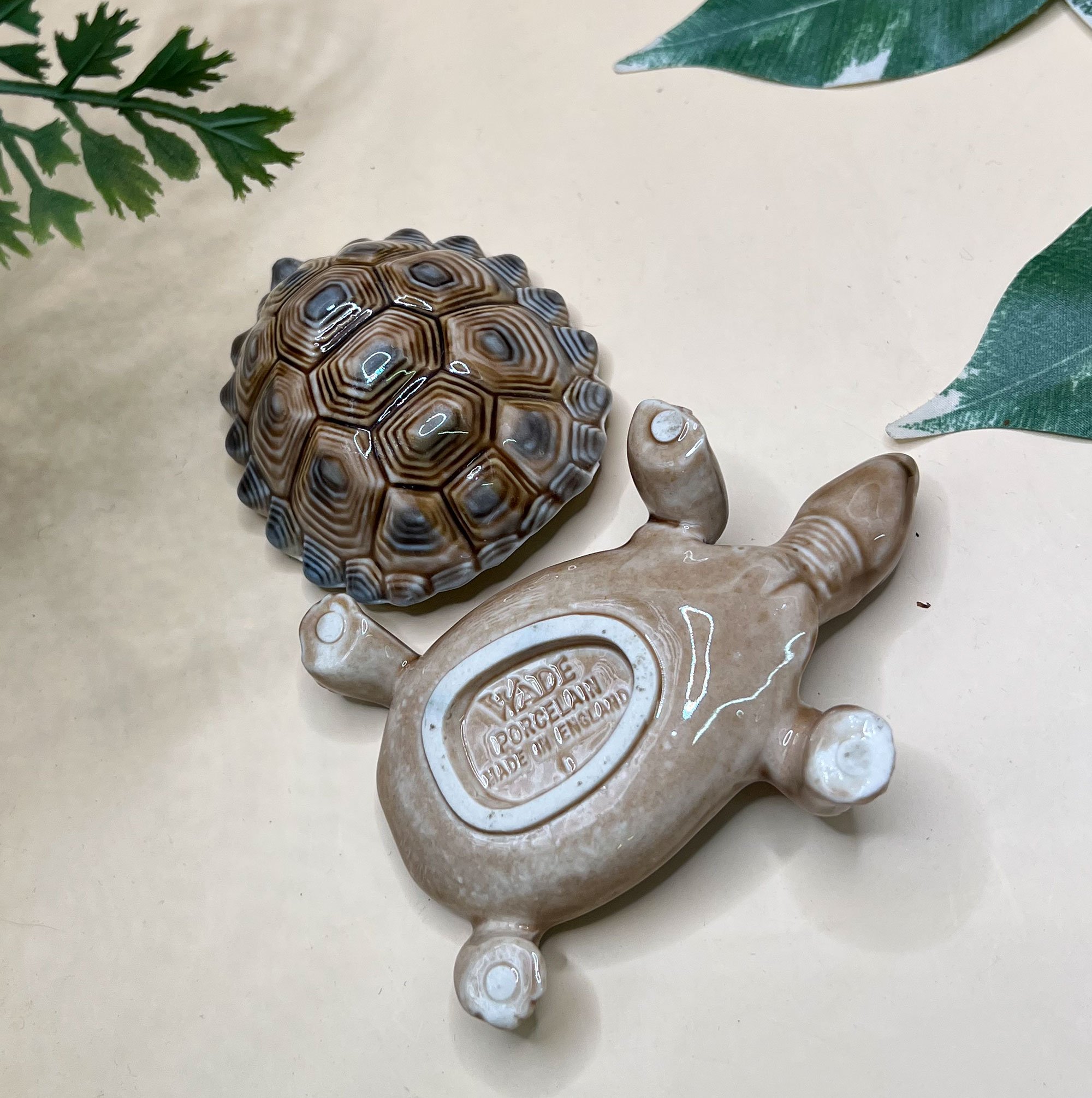 tortoise3-pod82.jpg