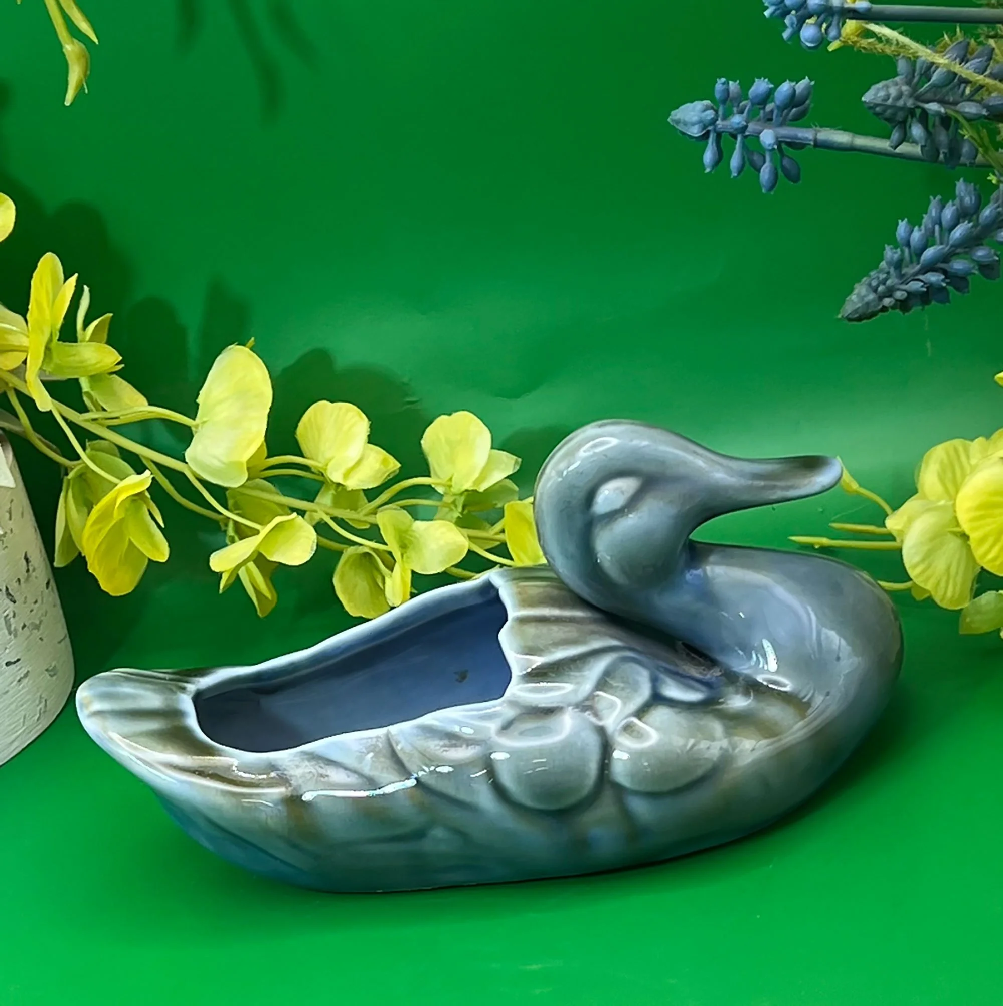 duck2-pod16.jpg