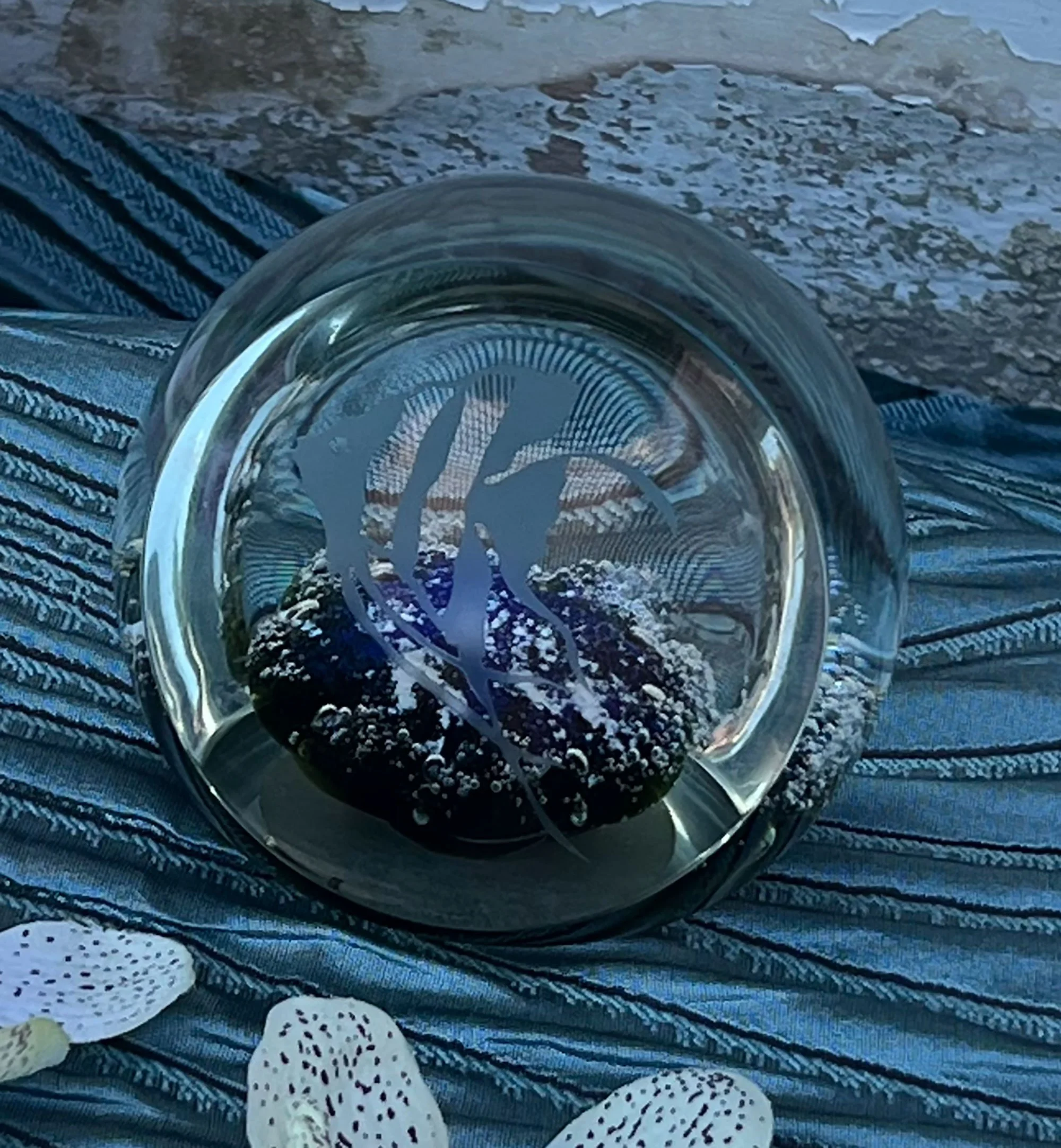pweight-pod7.jpg