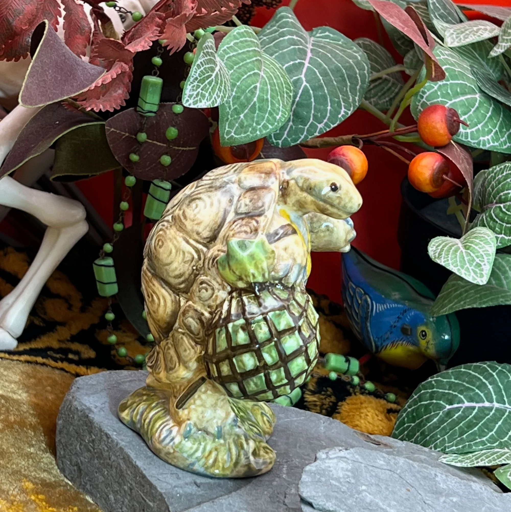 tortoise2-pod36.jpg