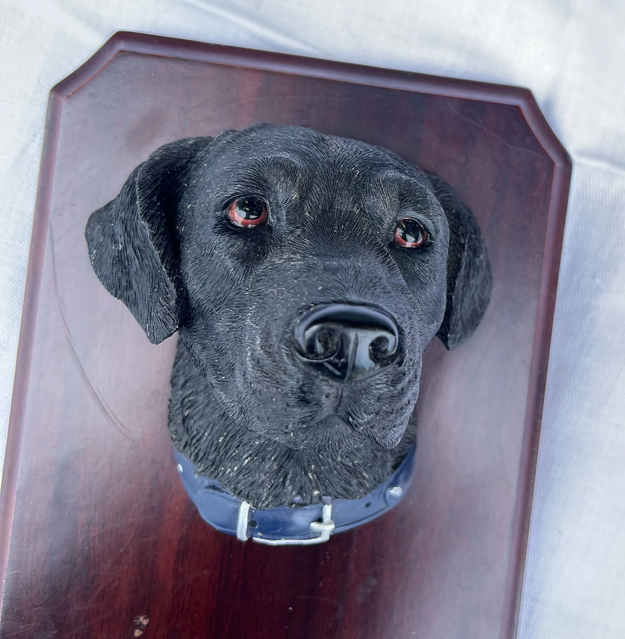 hookdog3.jpg