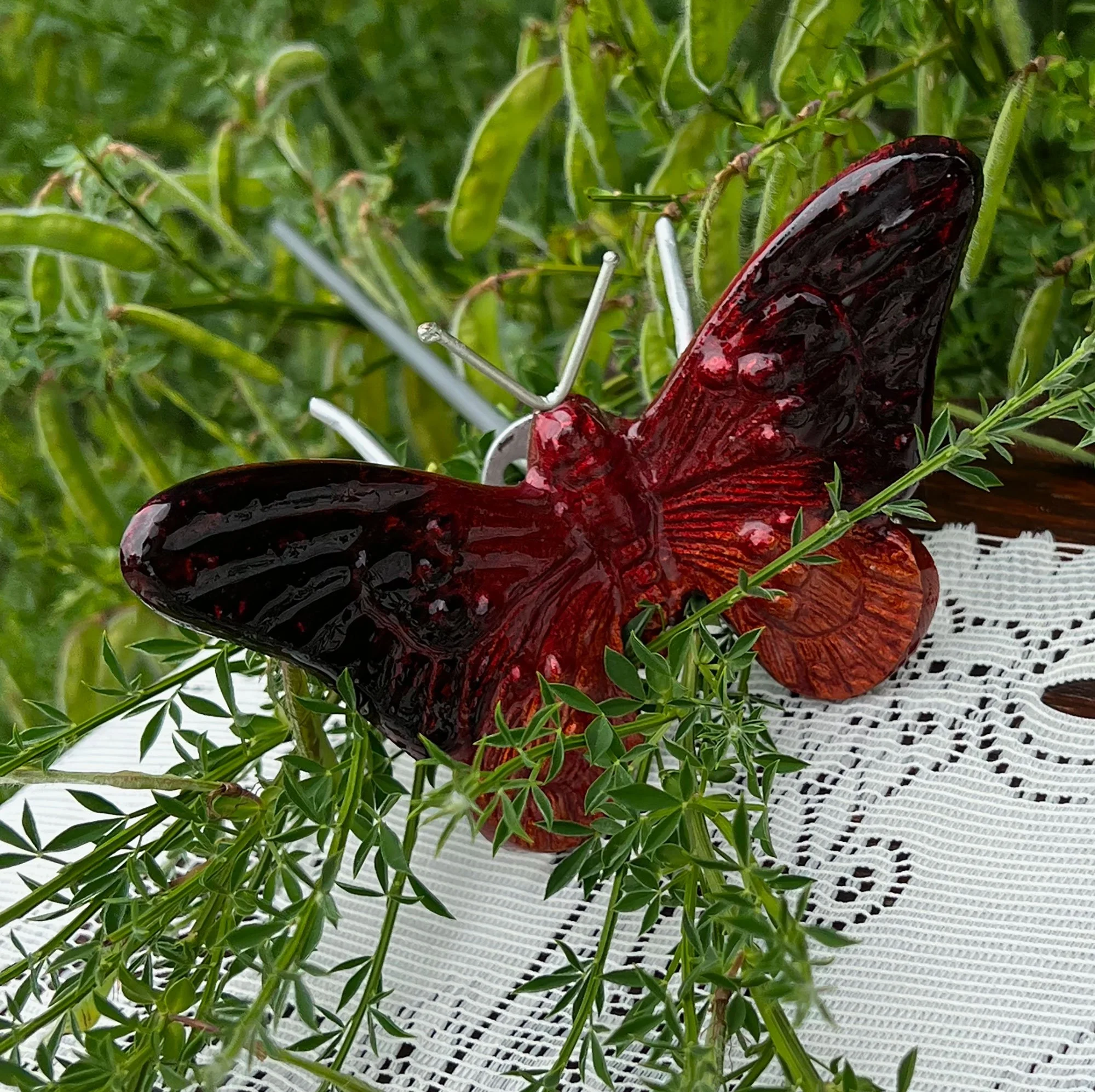 butterfly3.jpg