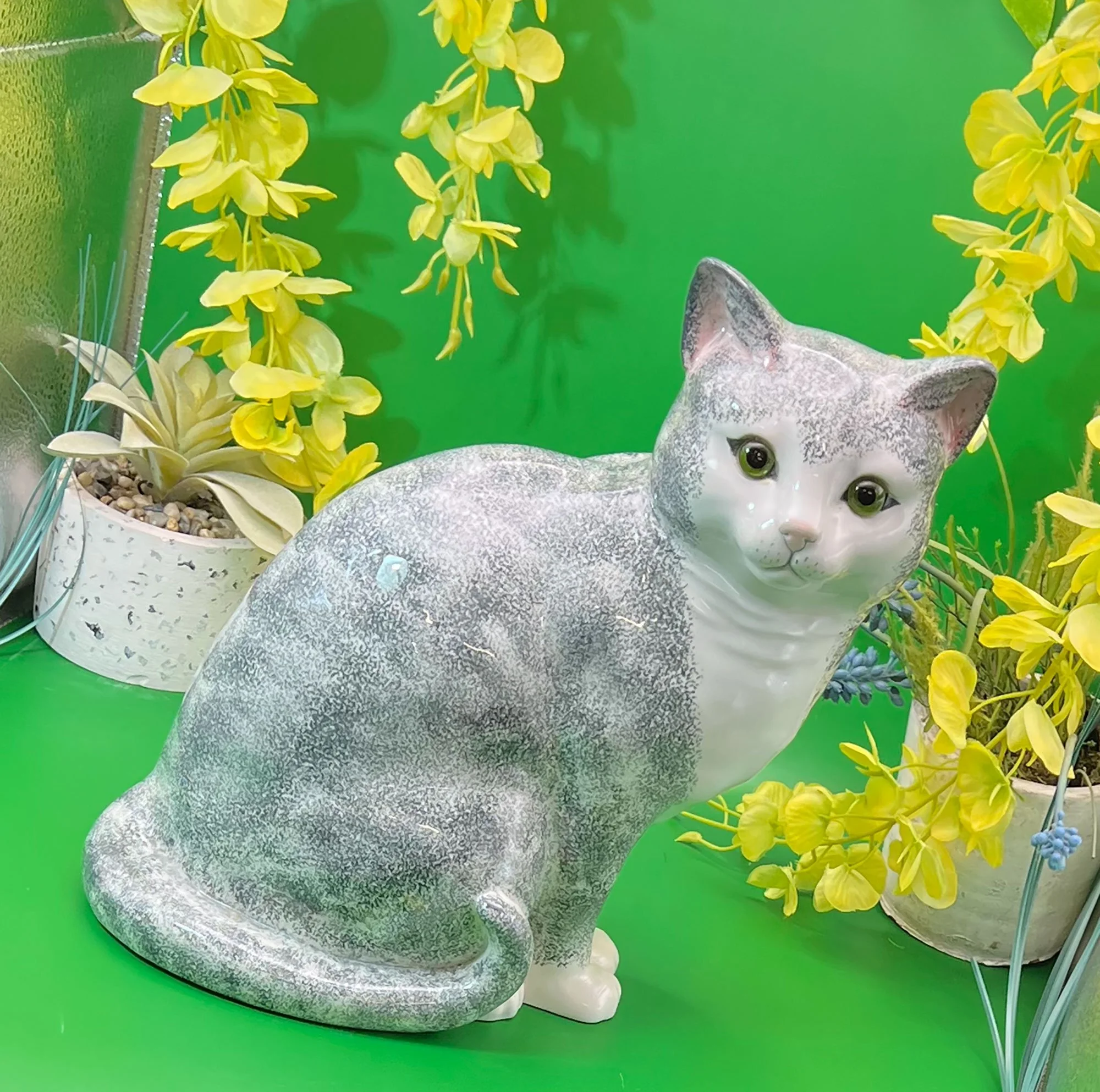 cat-pod16.jpg