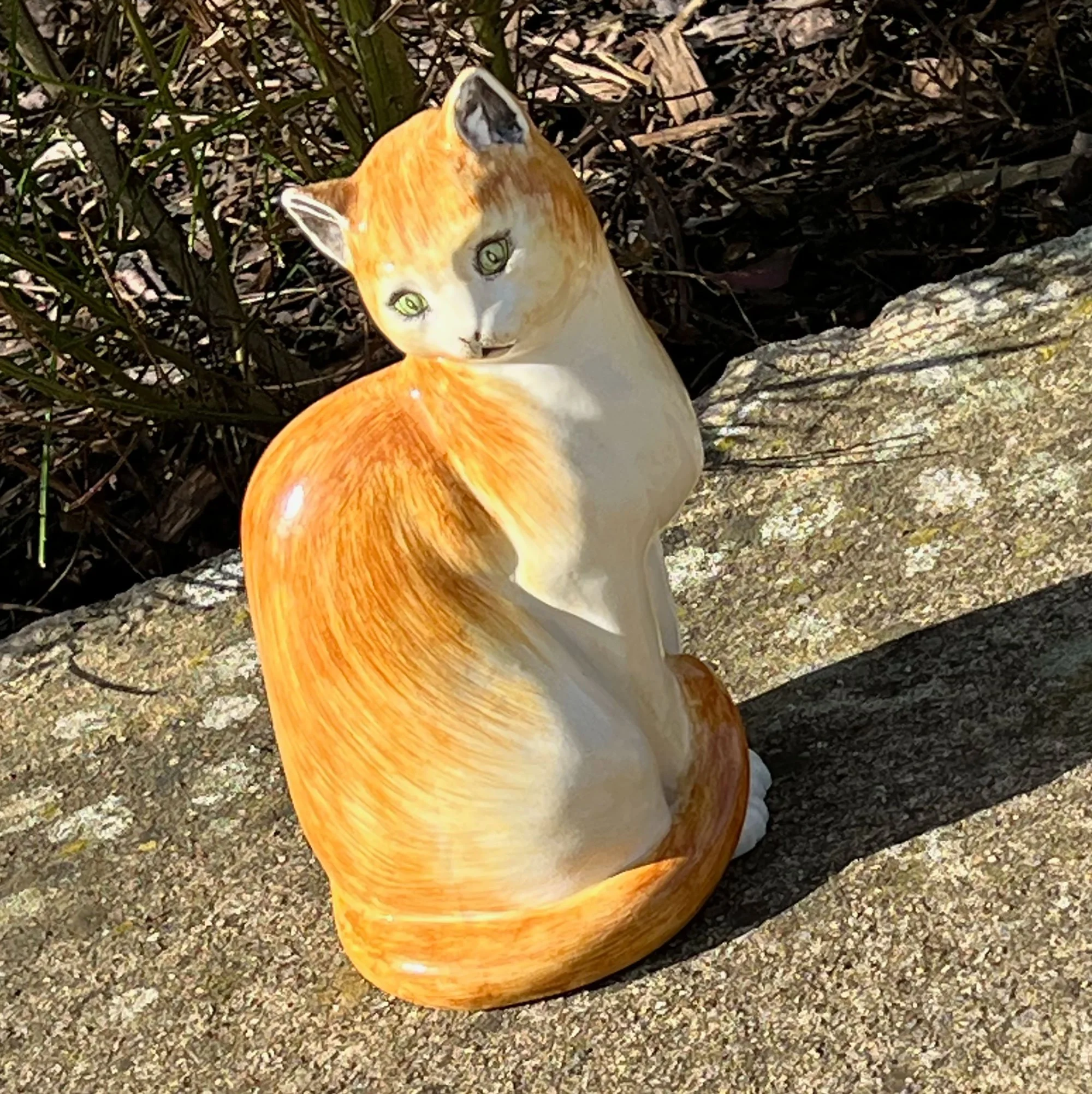 cat-pod69.jpg
