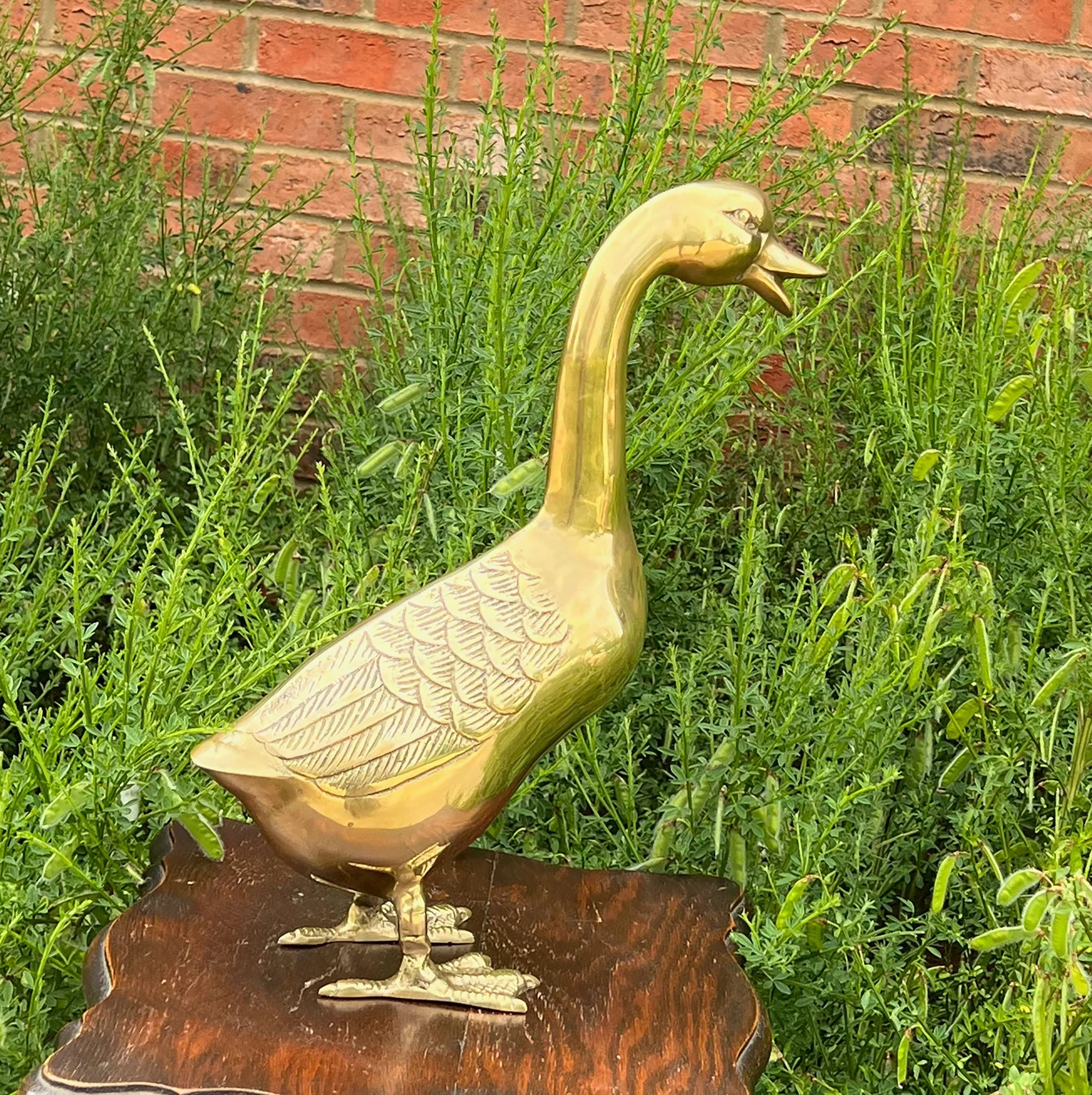 duck2-pod71.jpg