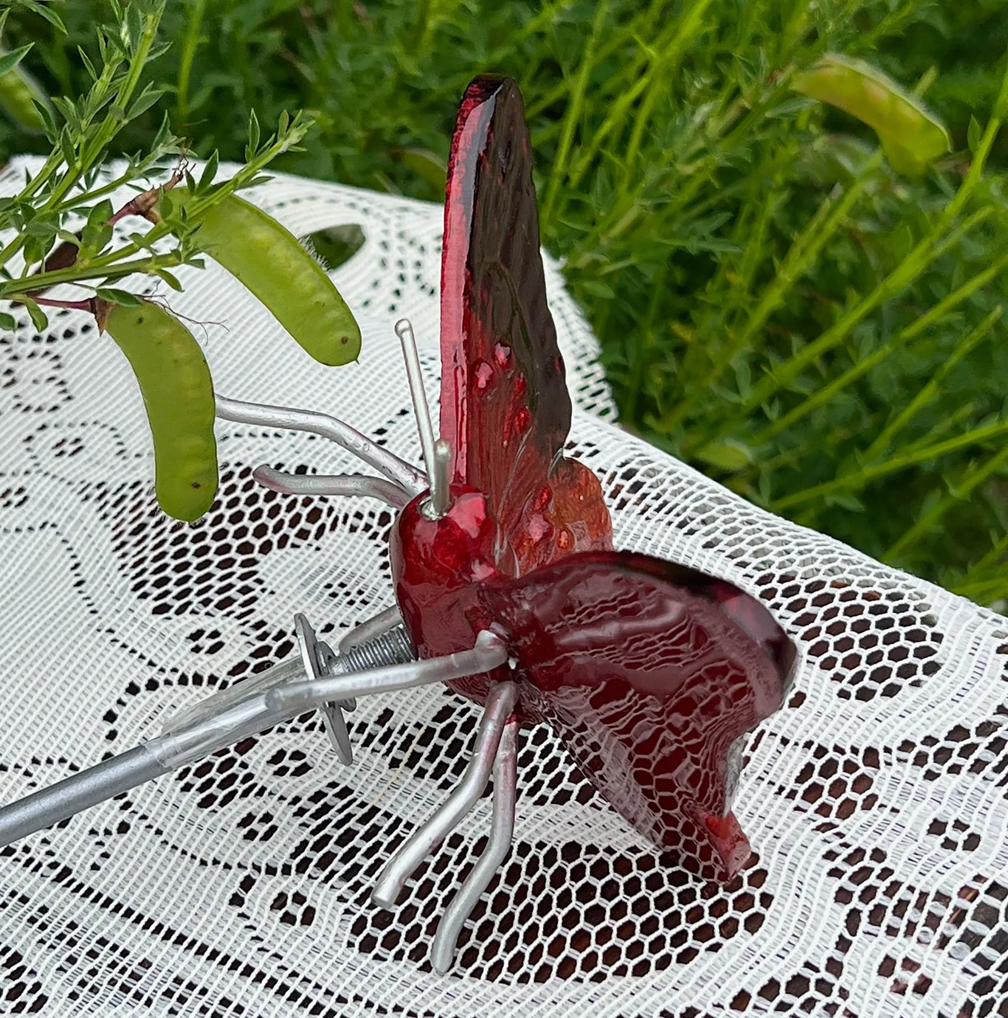 butterfly2.jpg