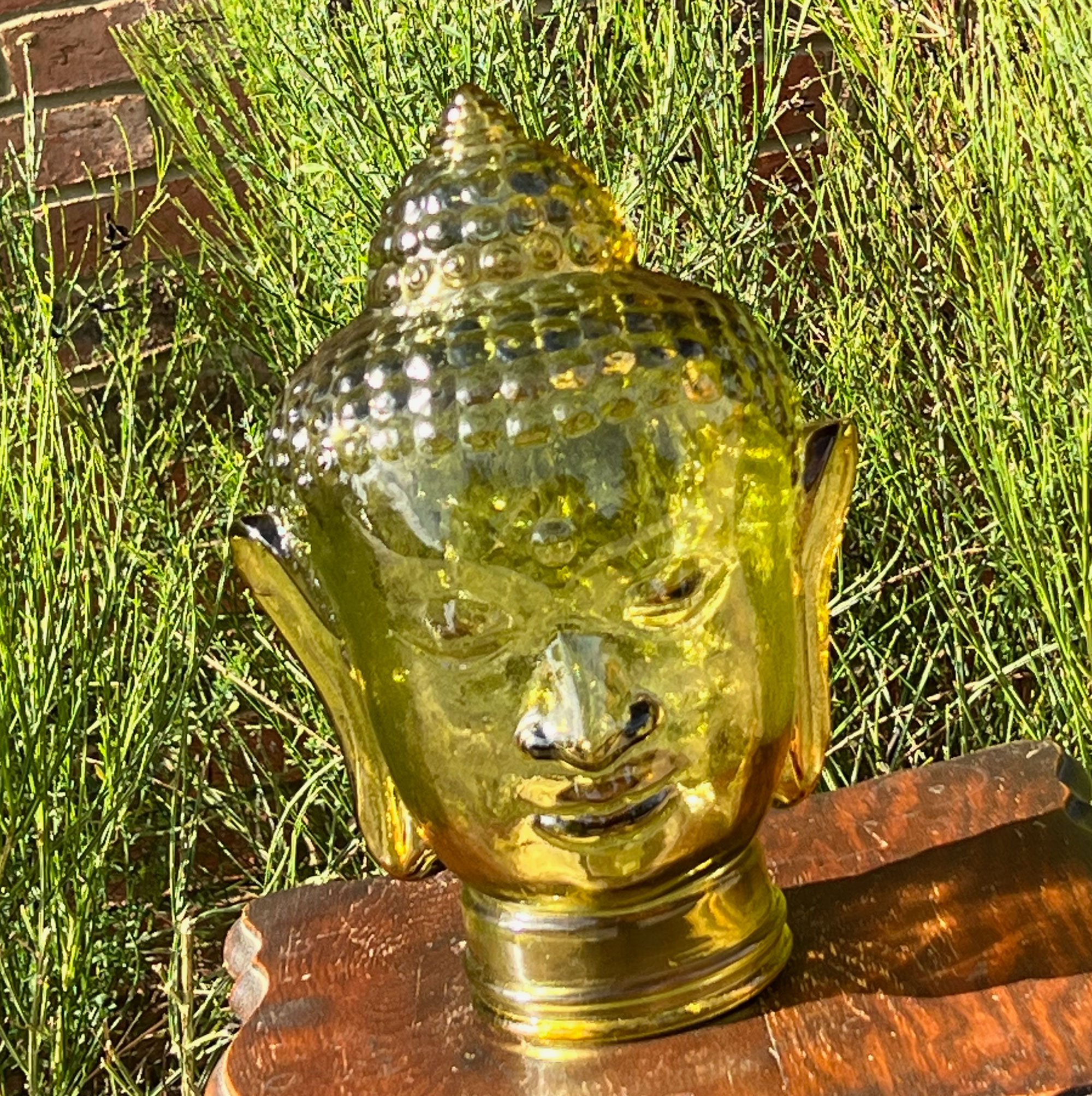 head-pod50.jpg