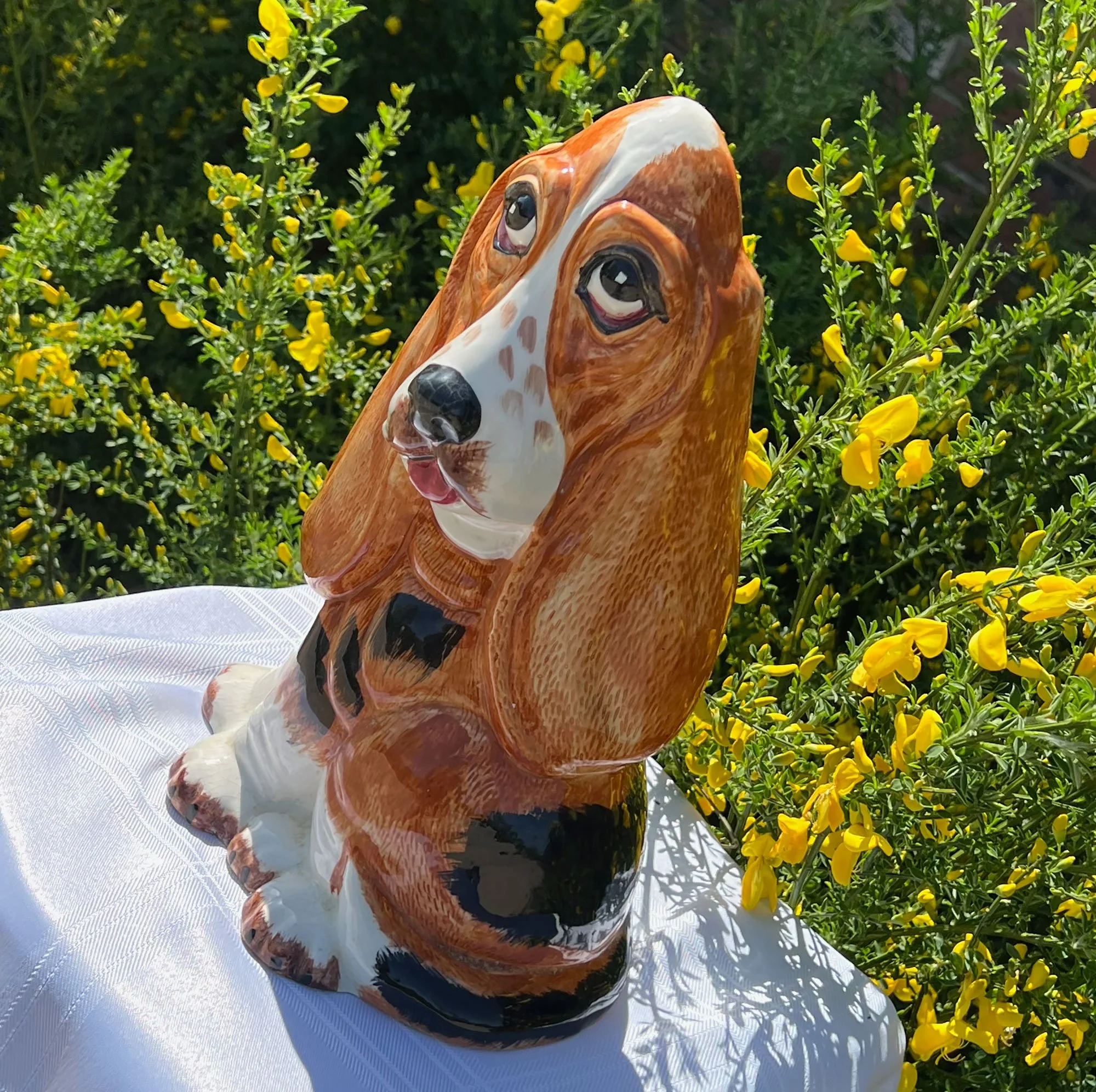 dog2-pod44.jpg
