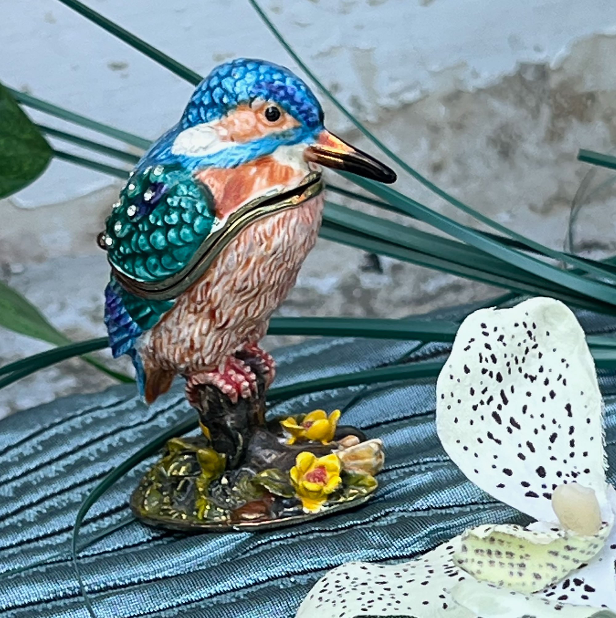 bird2-pod60.jpg