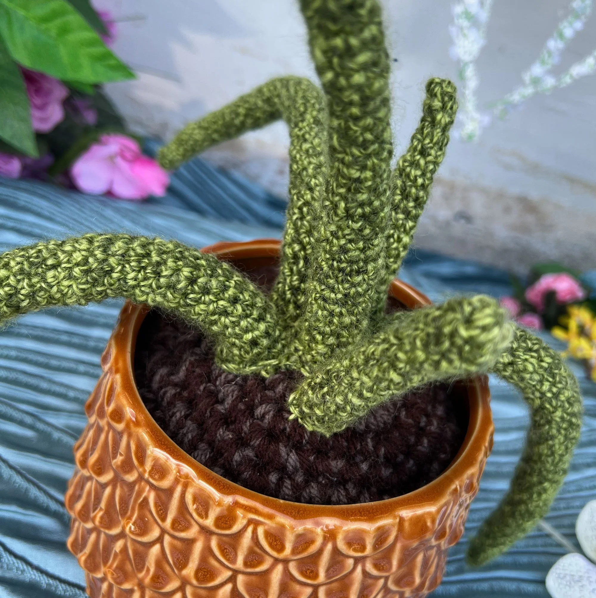 cactus2-pod121.jpg
