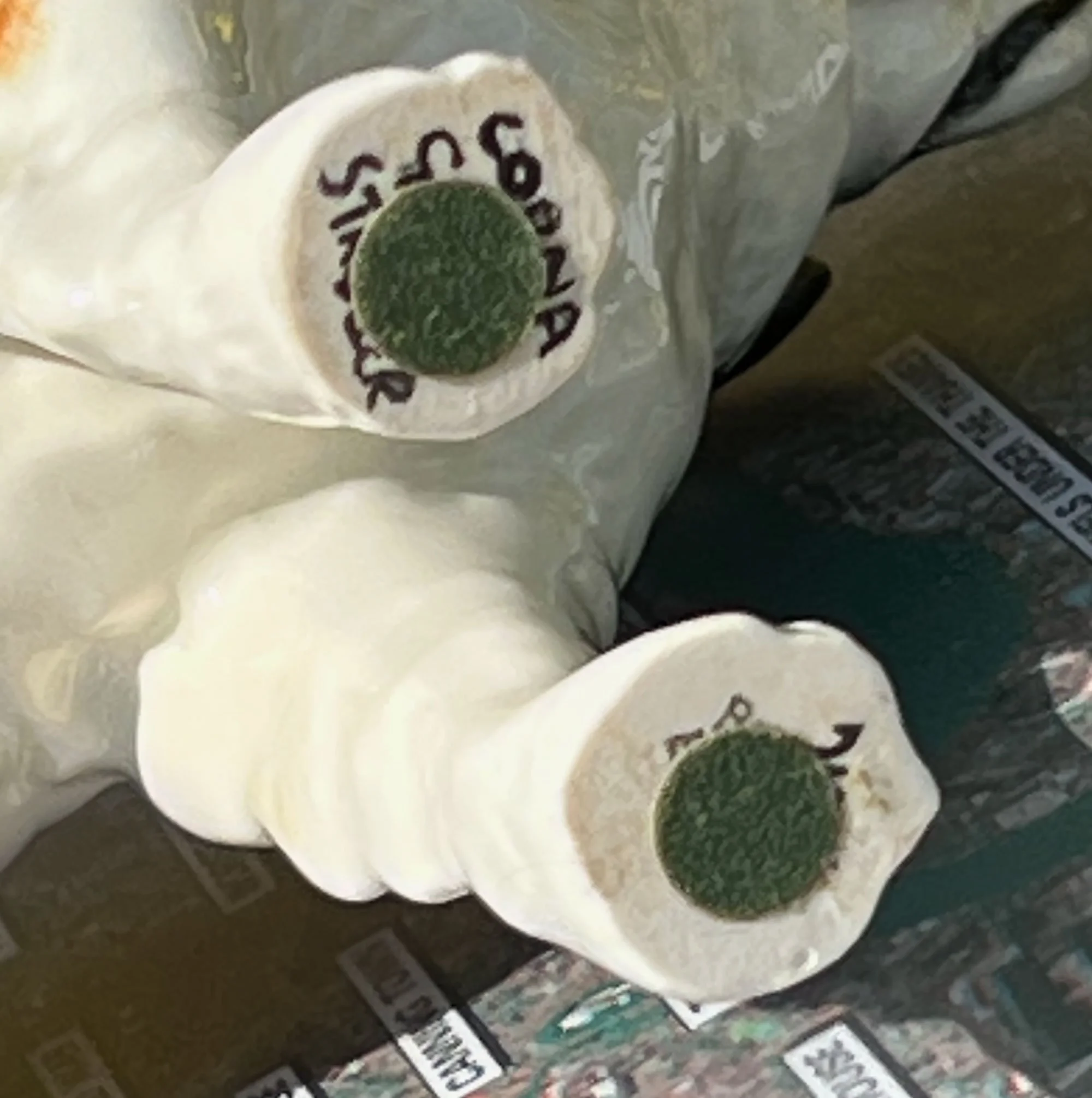 bes4-pod36.jpg