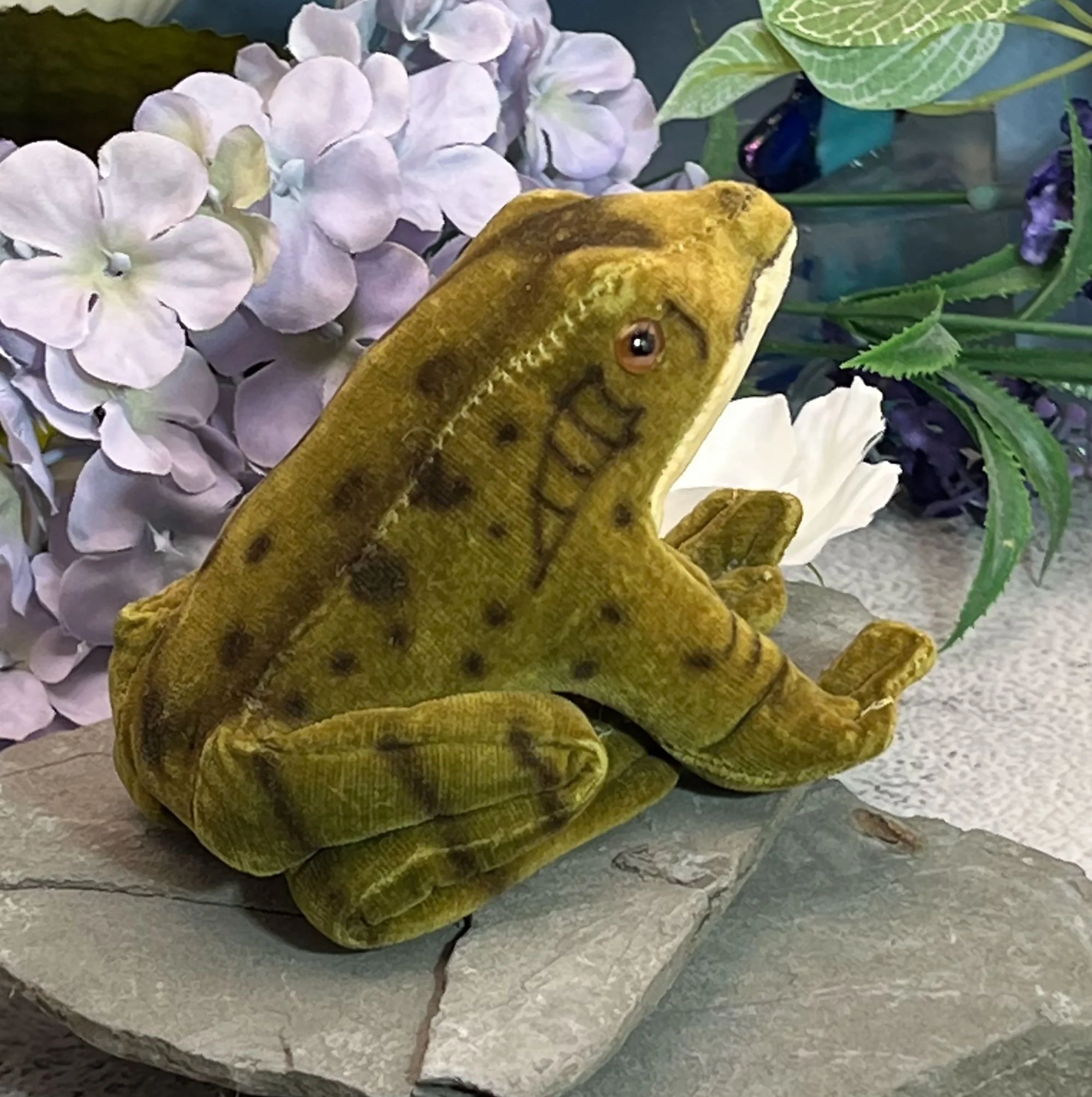 frog2-pod88.jpg