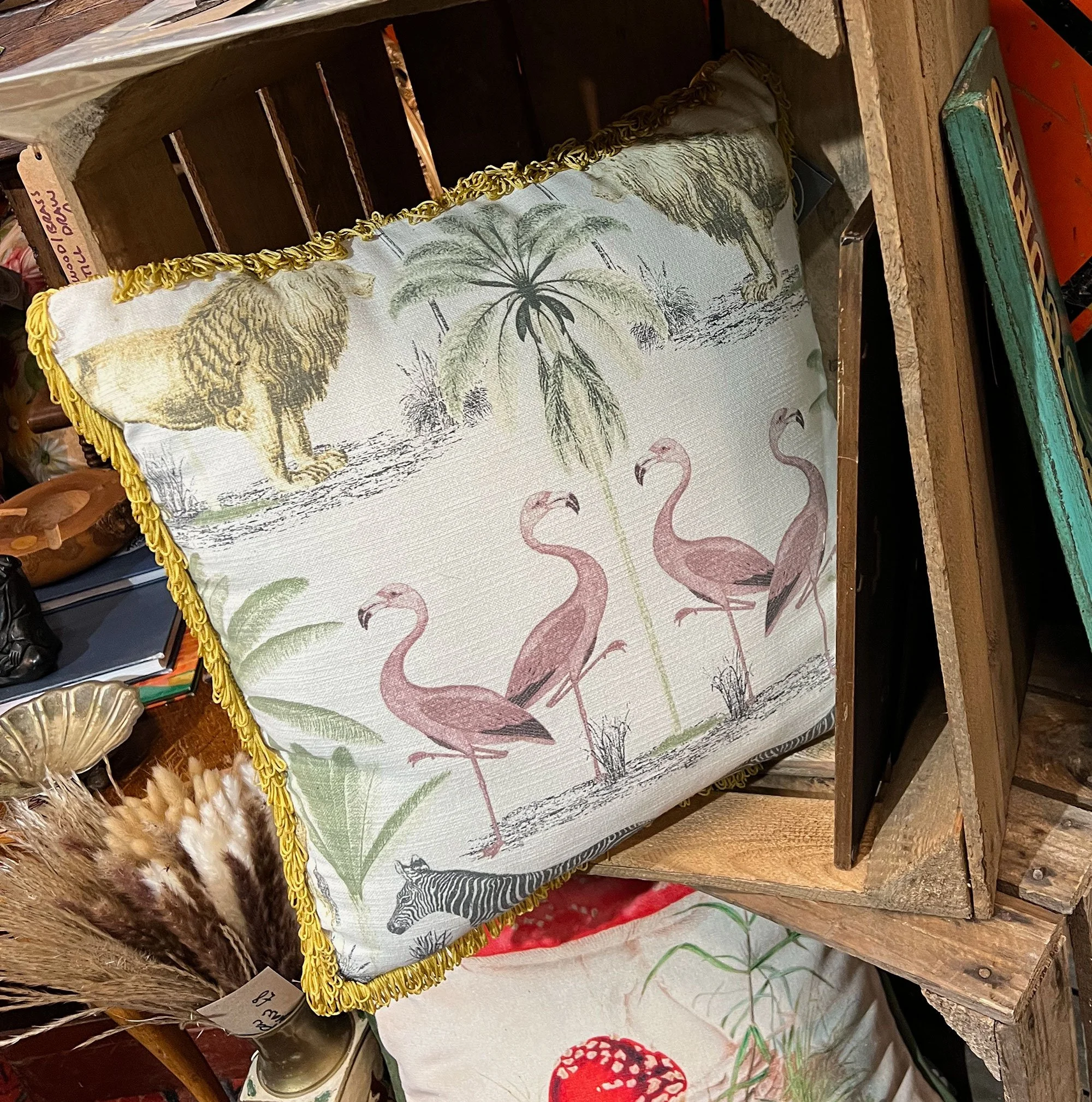flamingo1-pod75.jpg