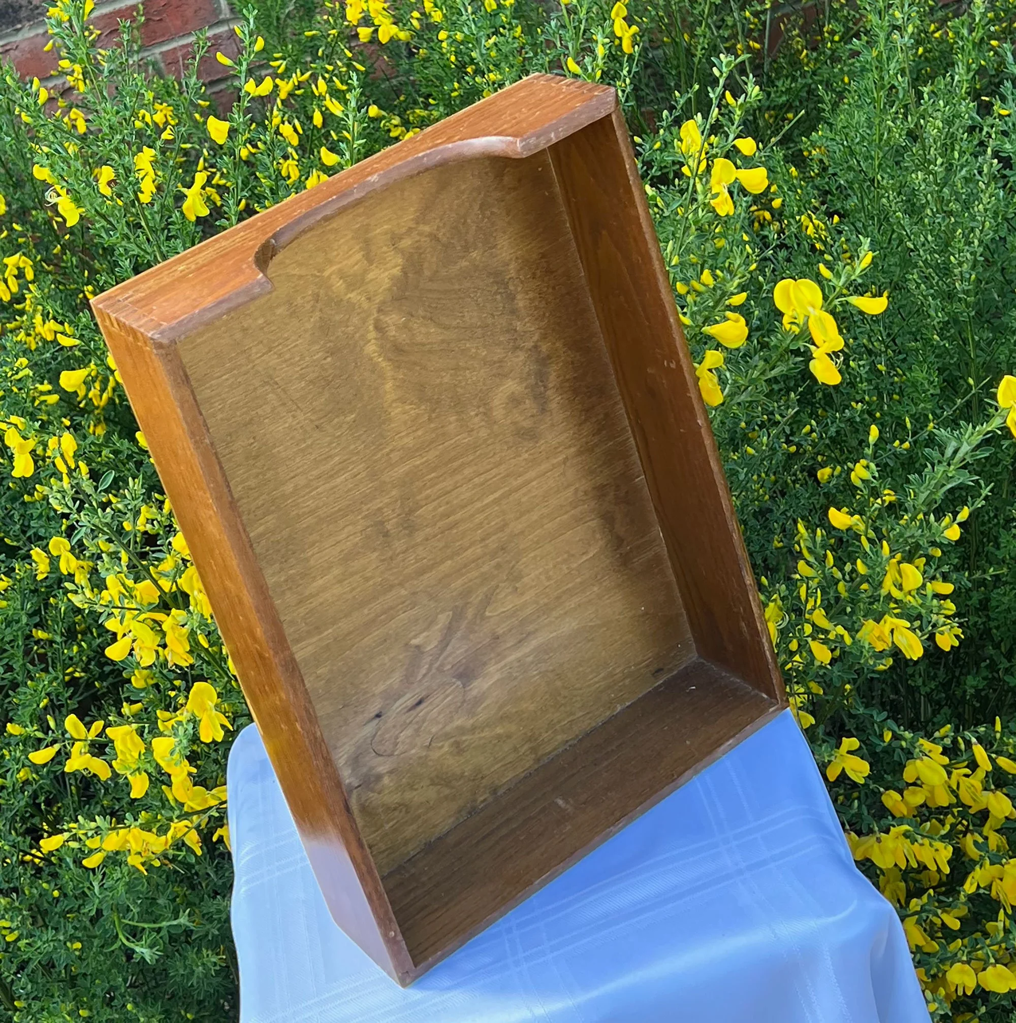 tray2-pod72.jpg