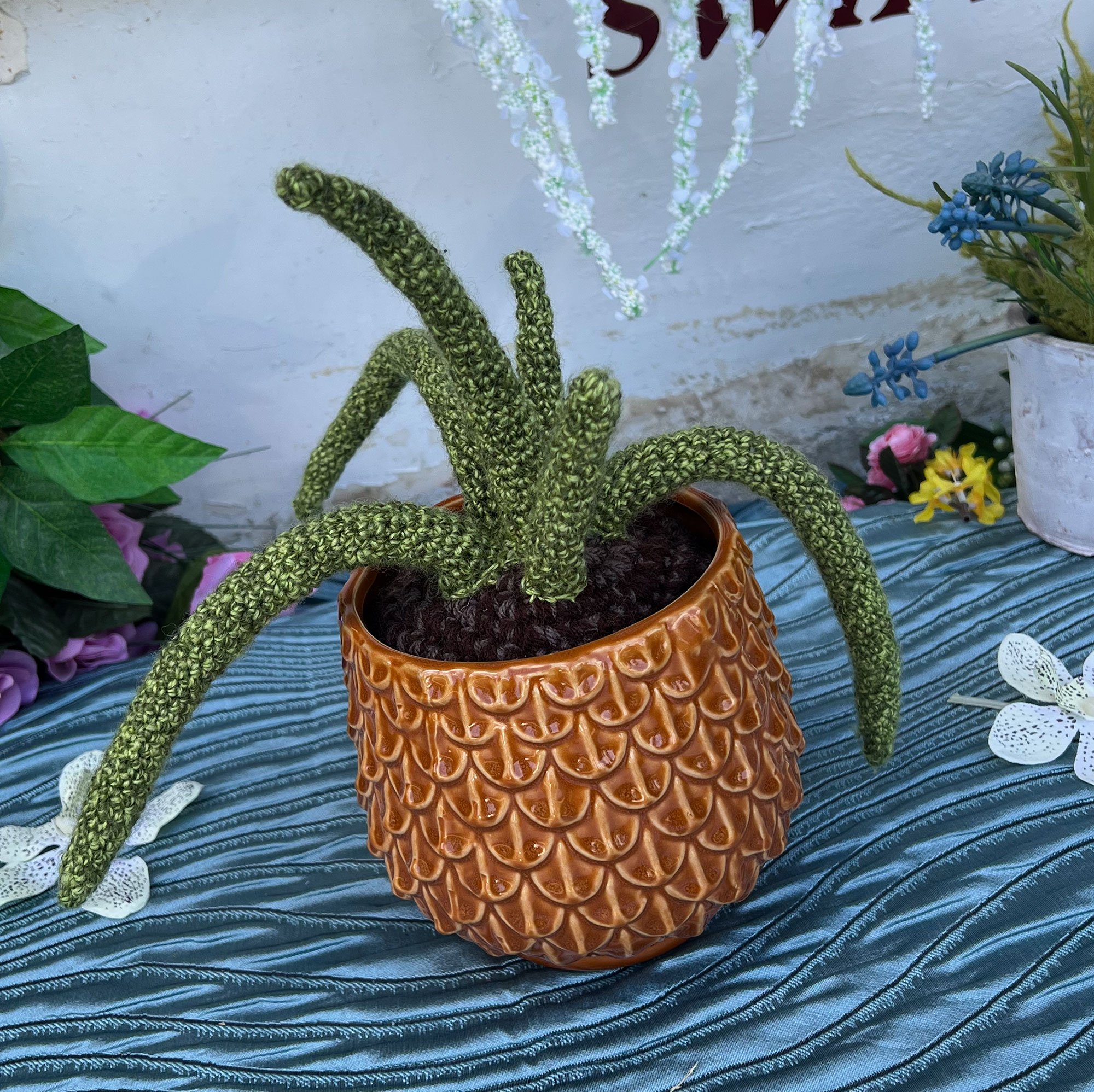 cactus-pod121.jpg