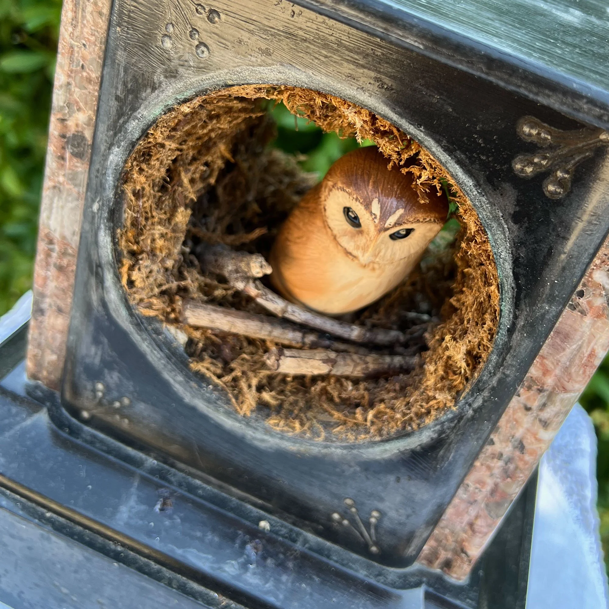owl2-pod69.jpg