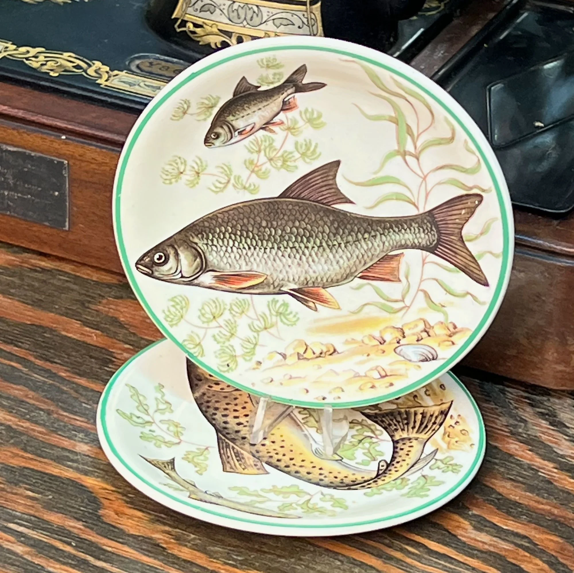fish2-pod85.jpg