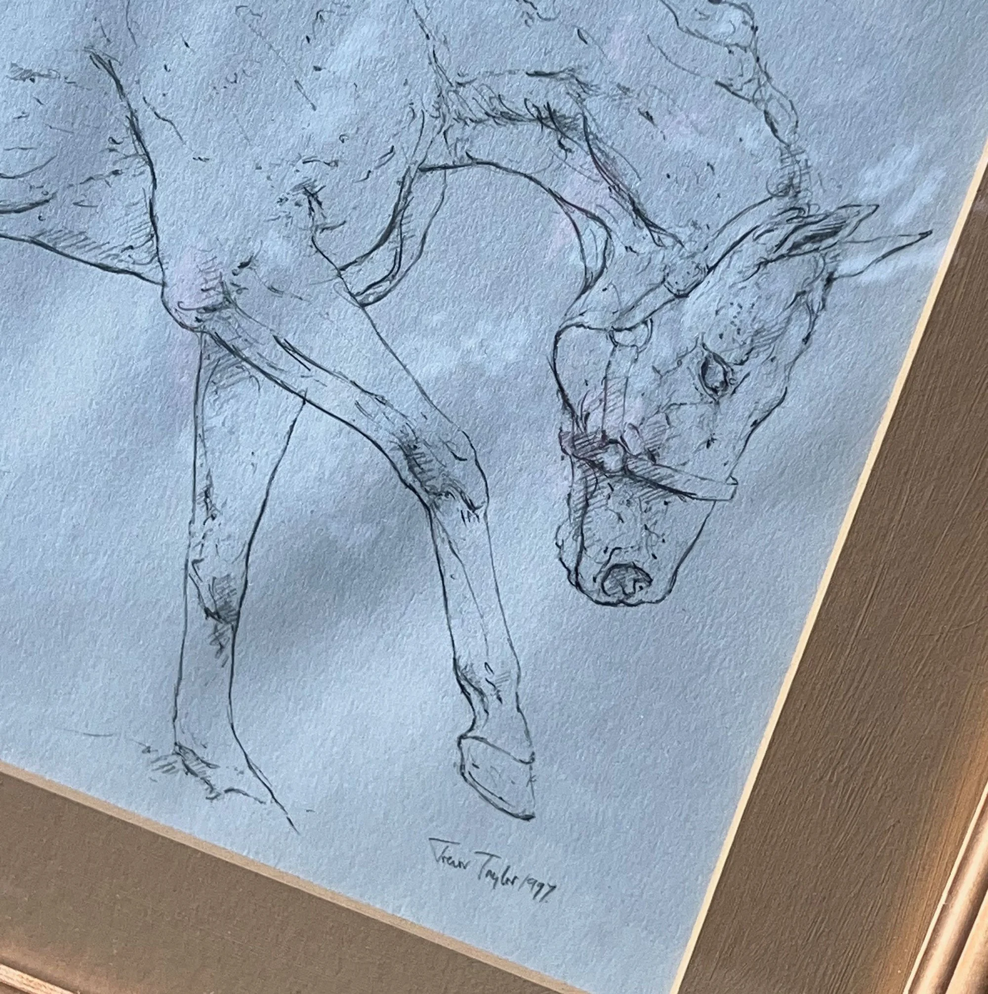 horse2-pod69.jpg