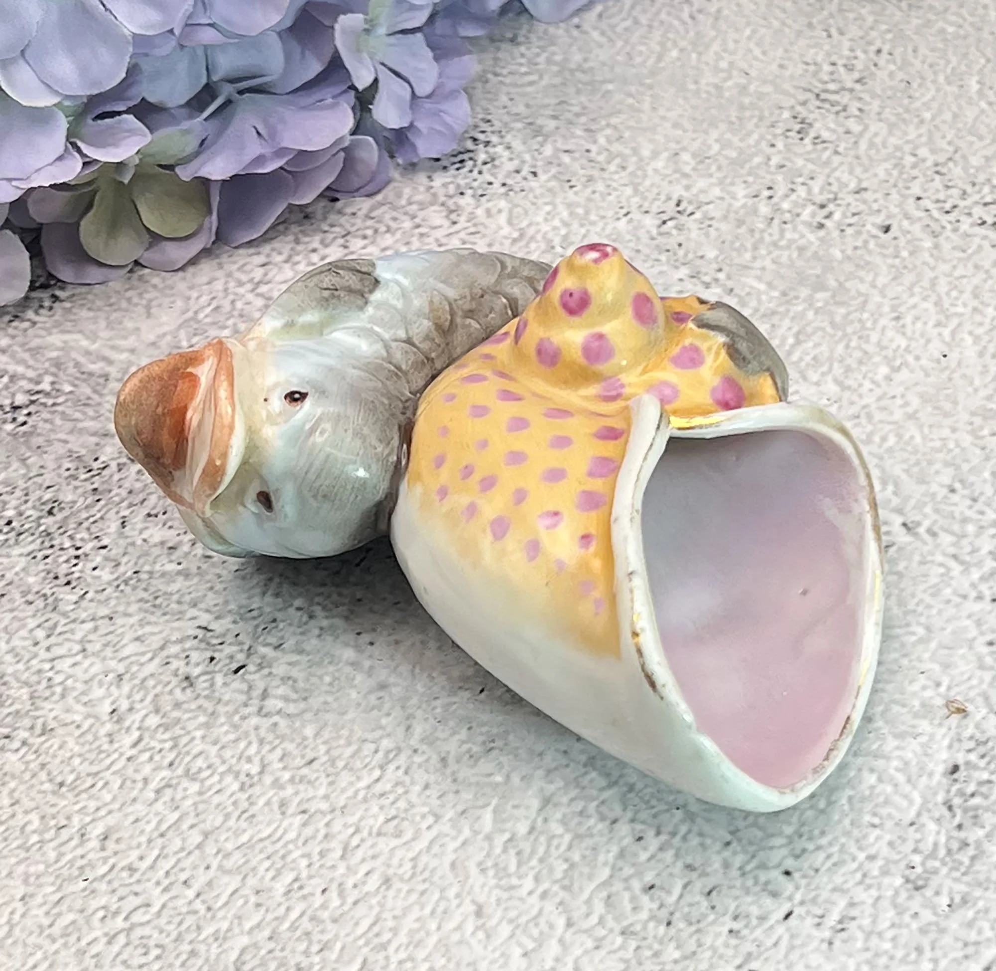 shell3-pod88.jpg