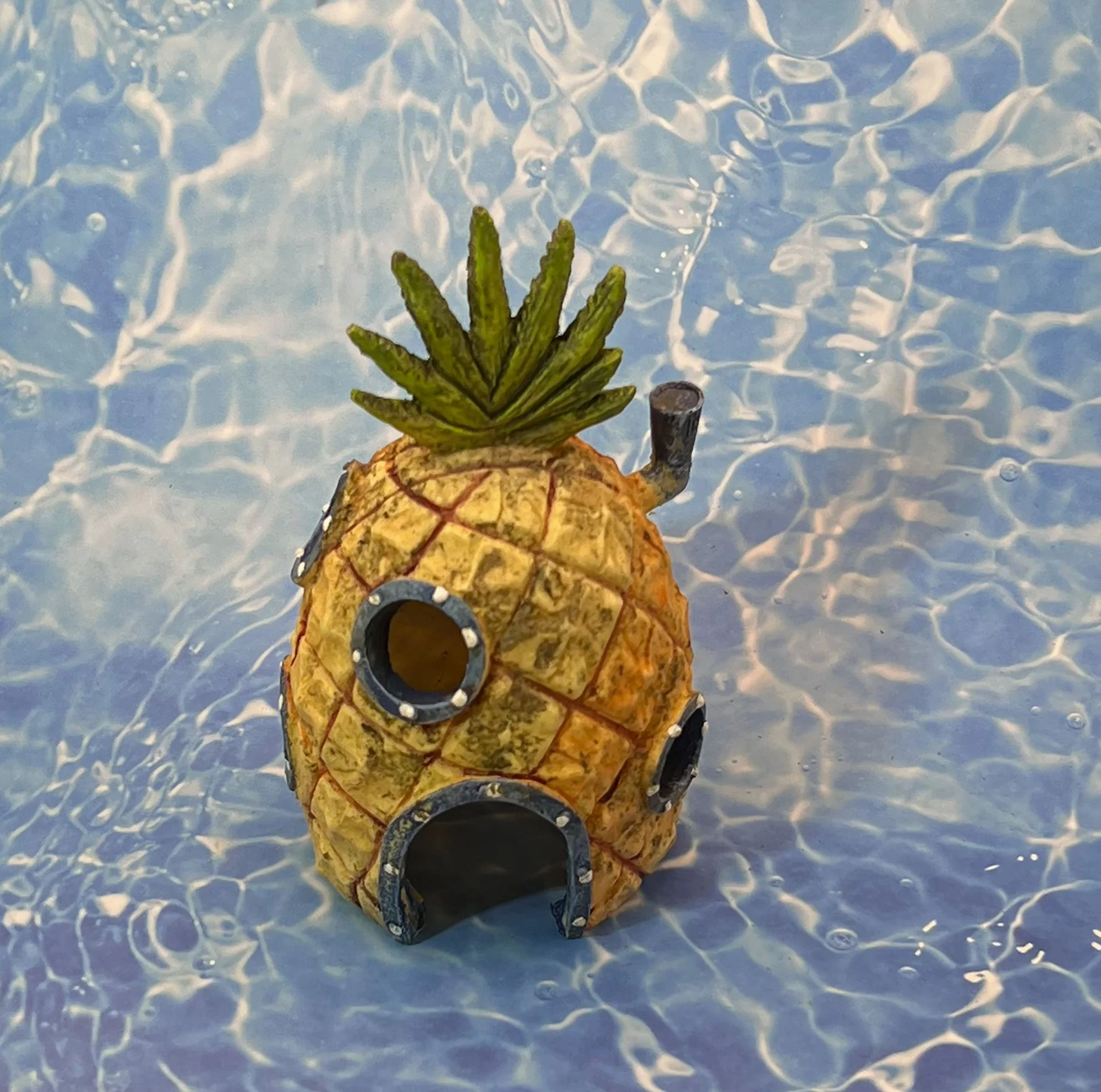 pineapple-pod28.jpg