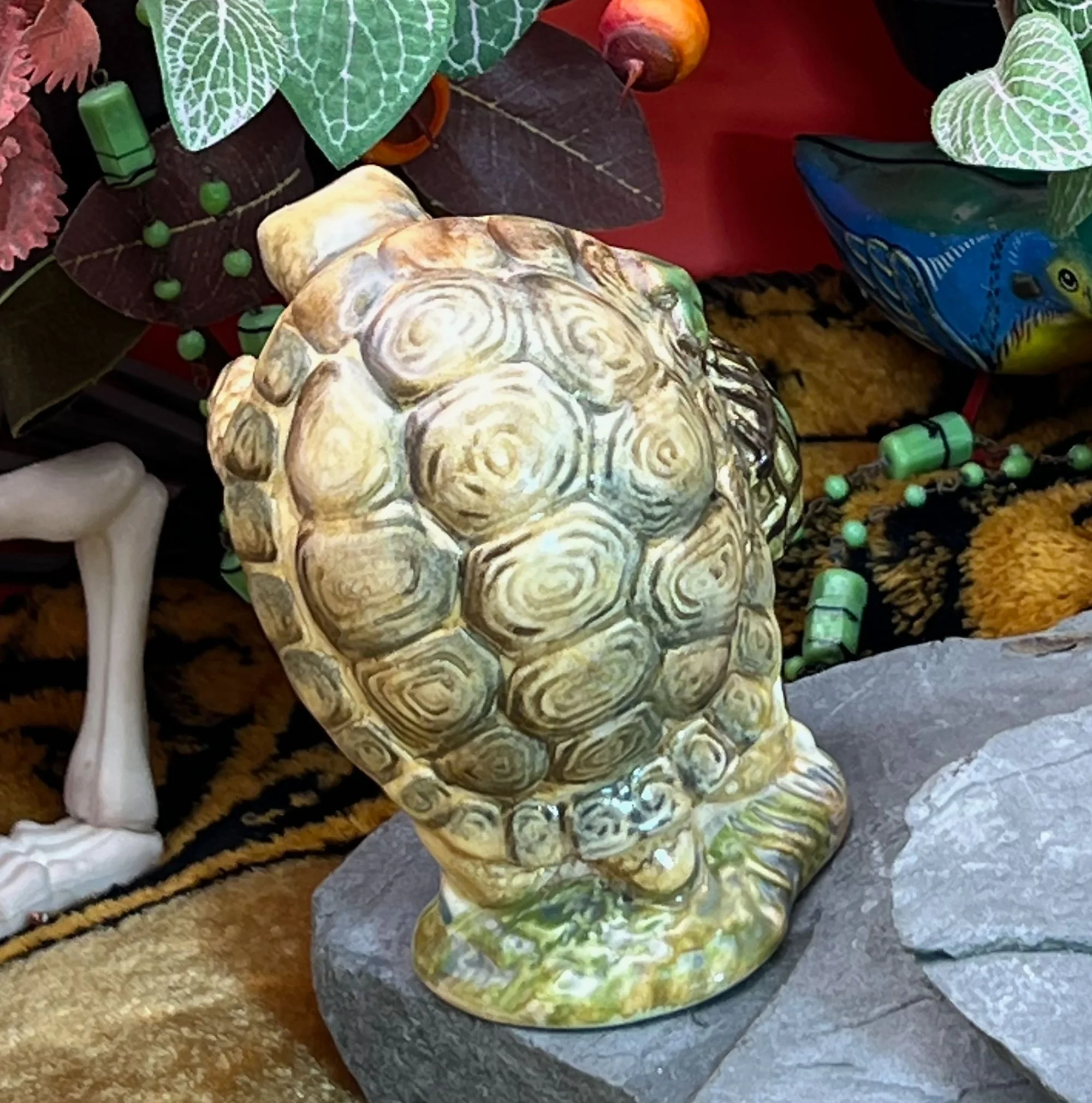 tortoise3-pod36.jpg
