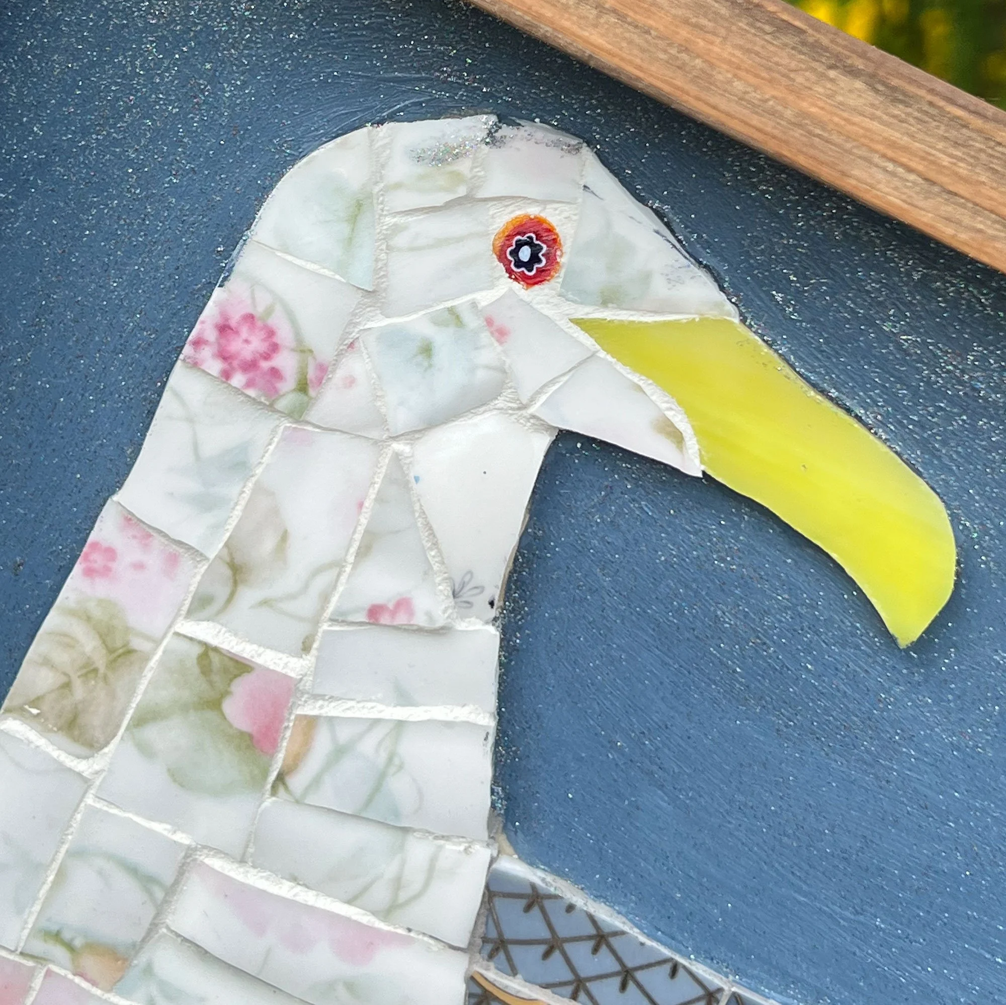 seagull2-pod79.jpg