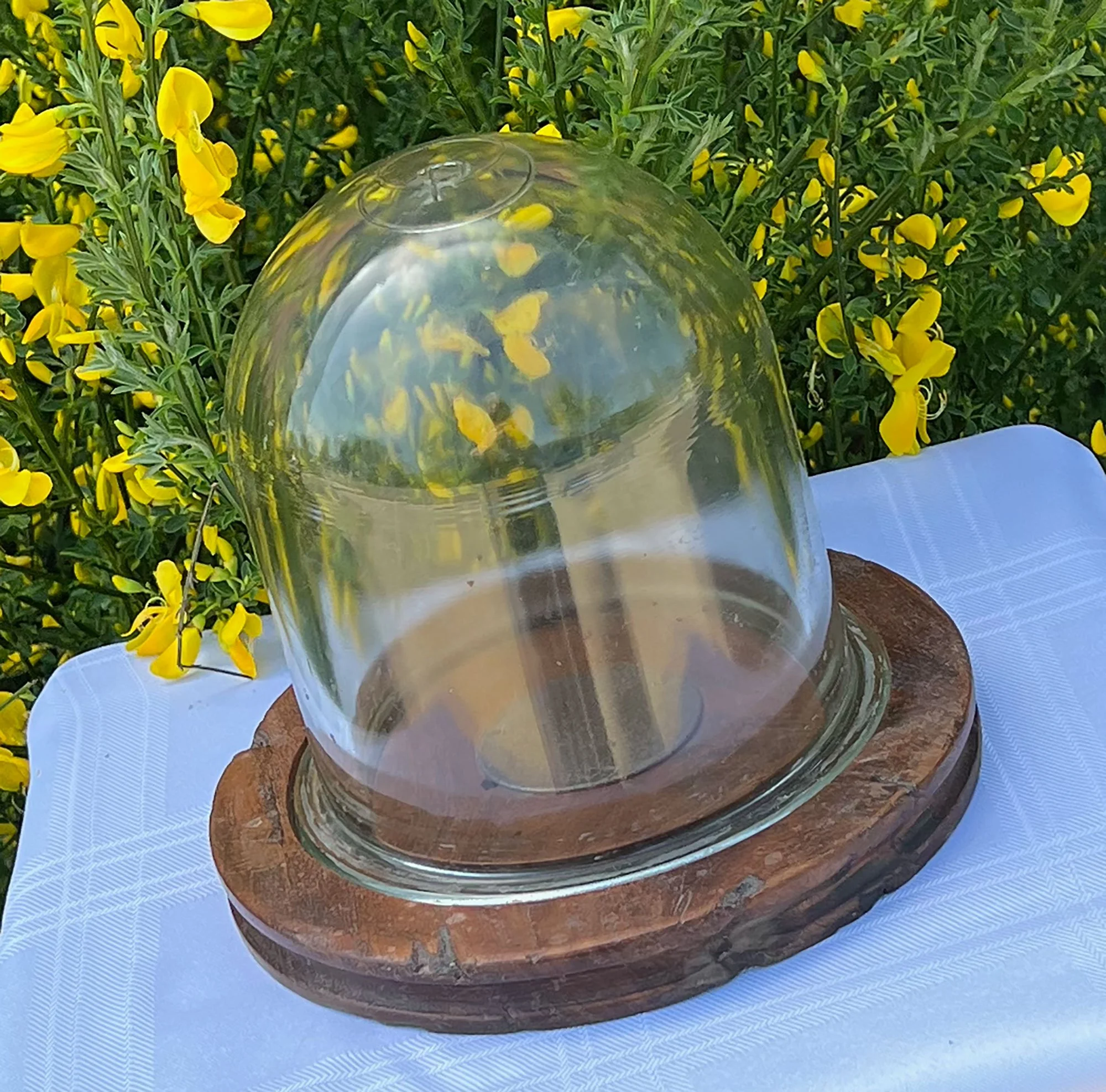 dome-pod75.jpg