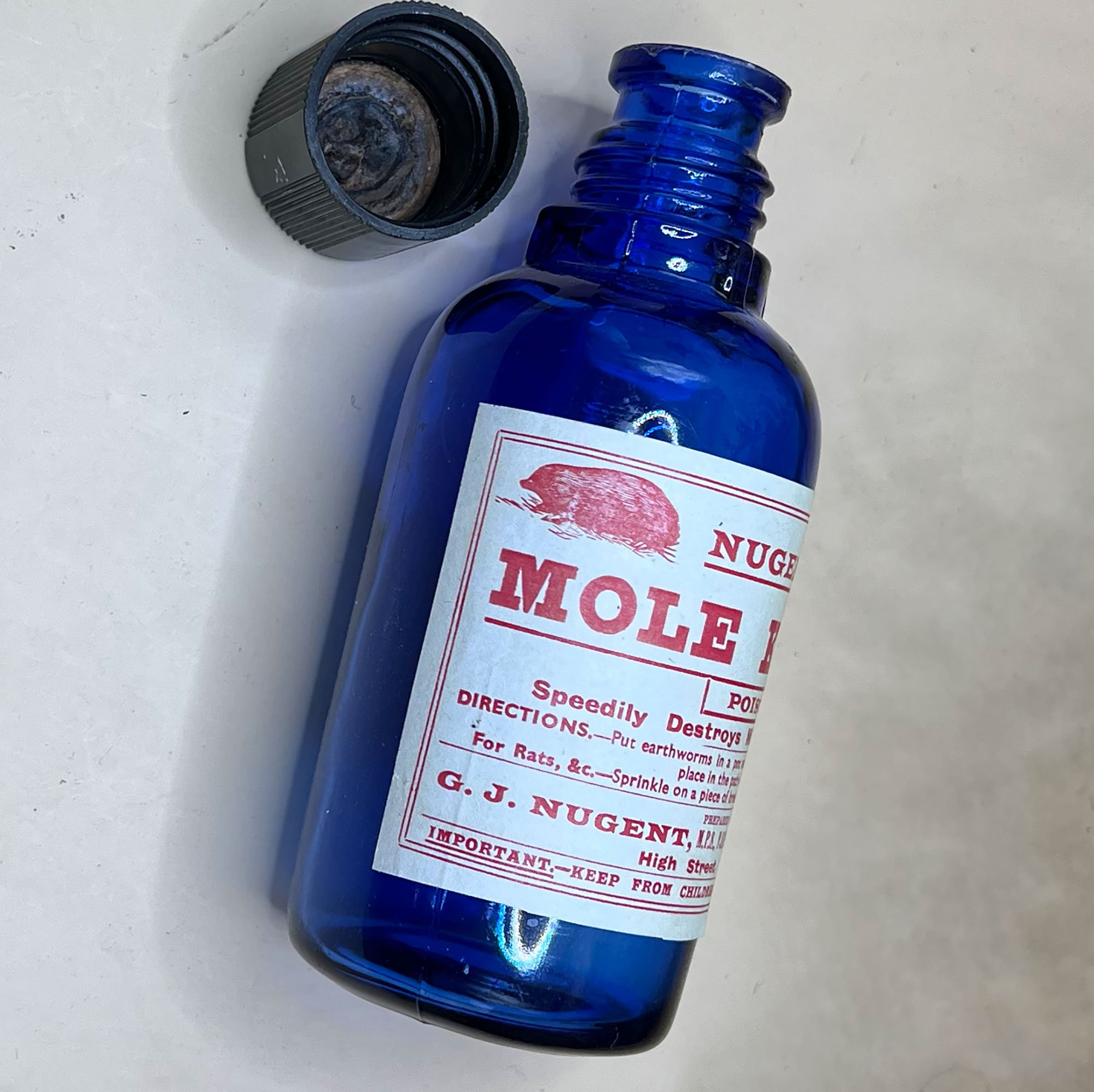 mole2-pod41.jpg