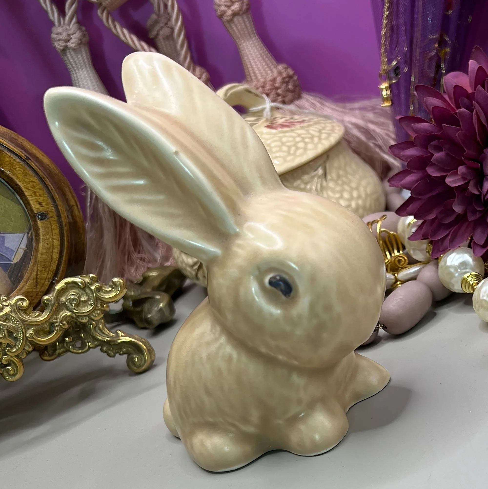 Snub nose rabbit