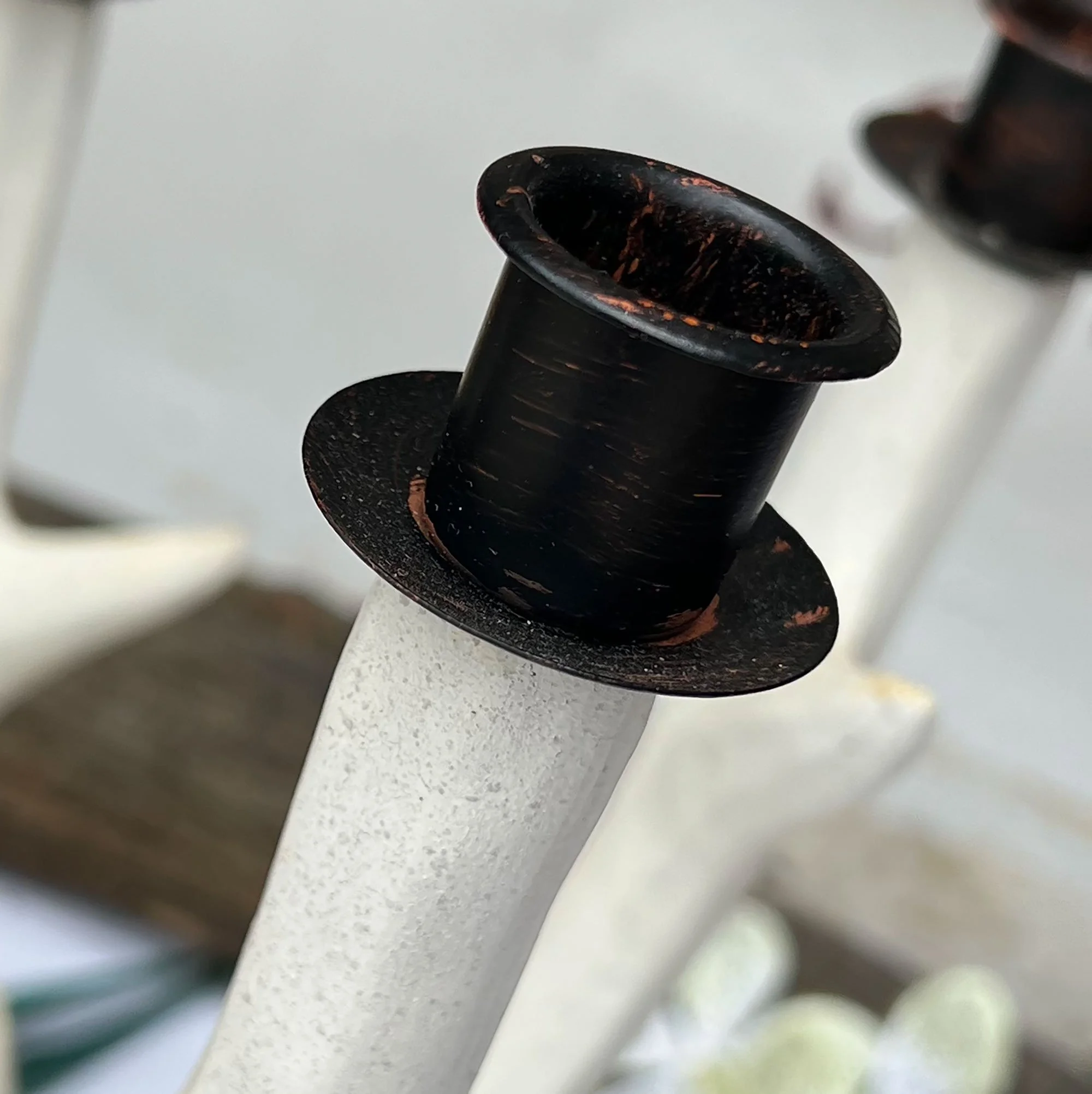 horn4-pod16.jpg