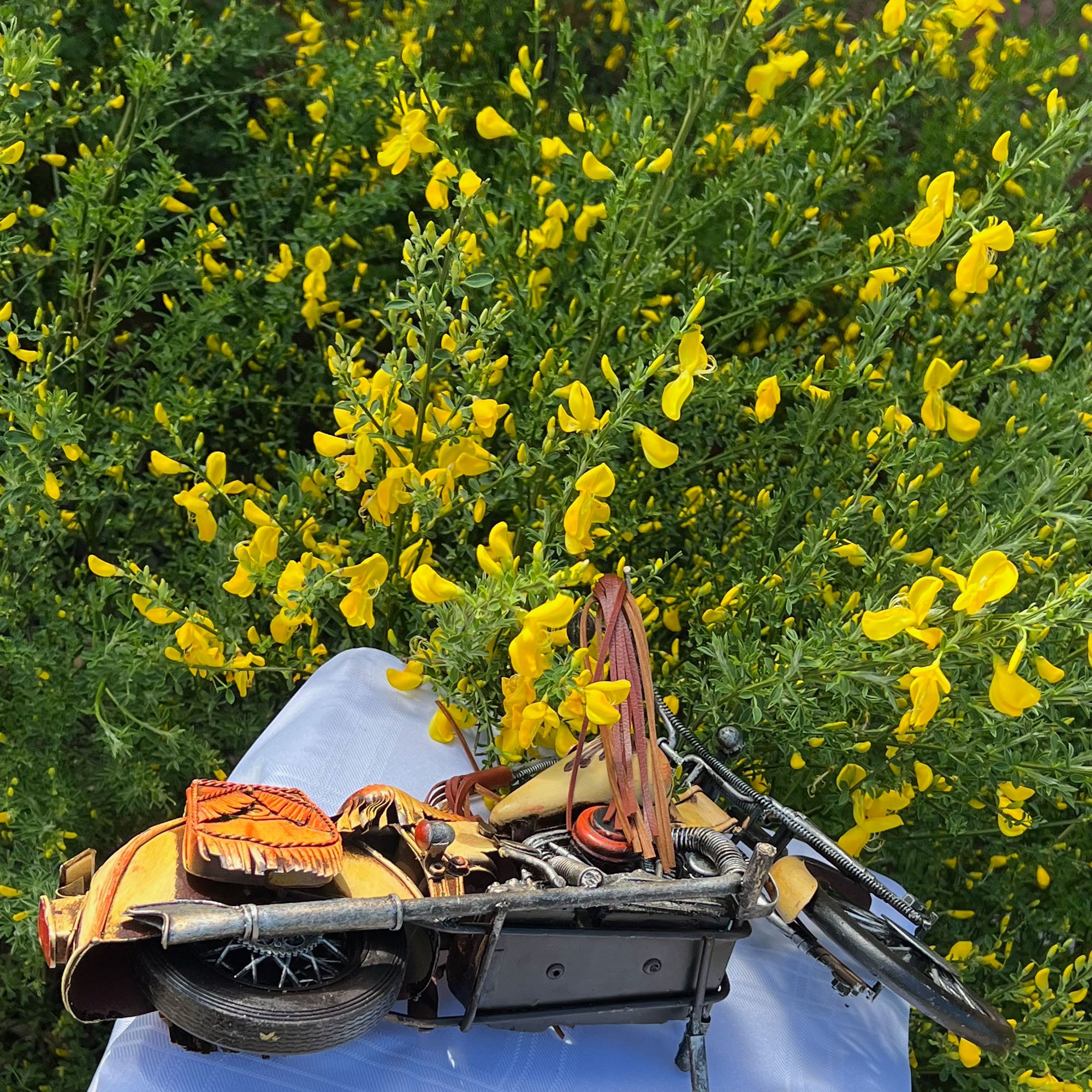 bike4-pod82.jpg