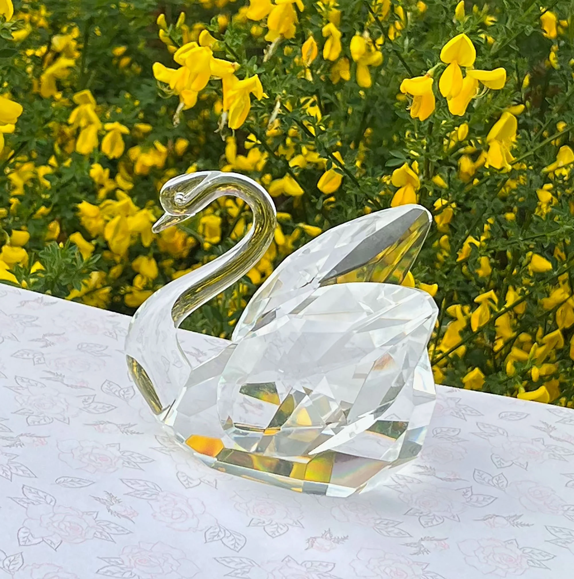swan-pod16.jpg