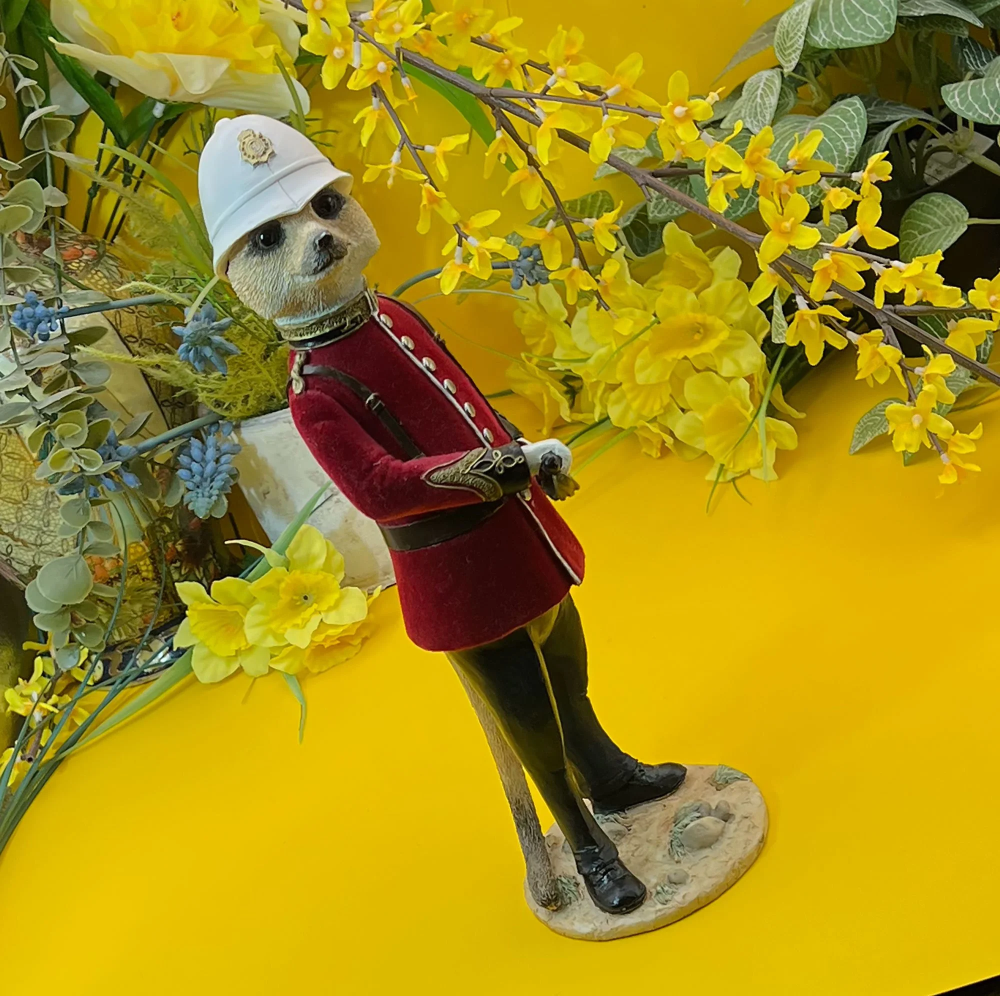 Country Artists Guardsman Meerkat