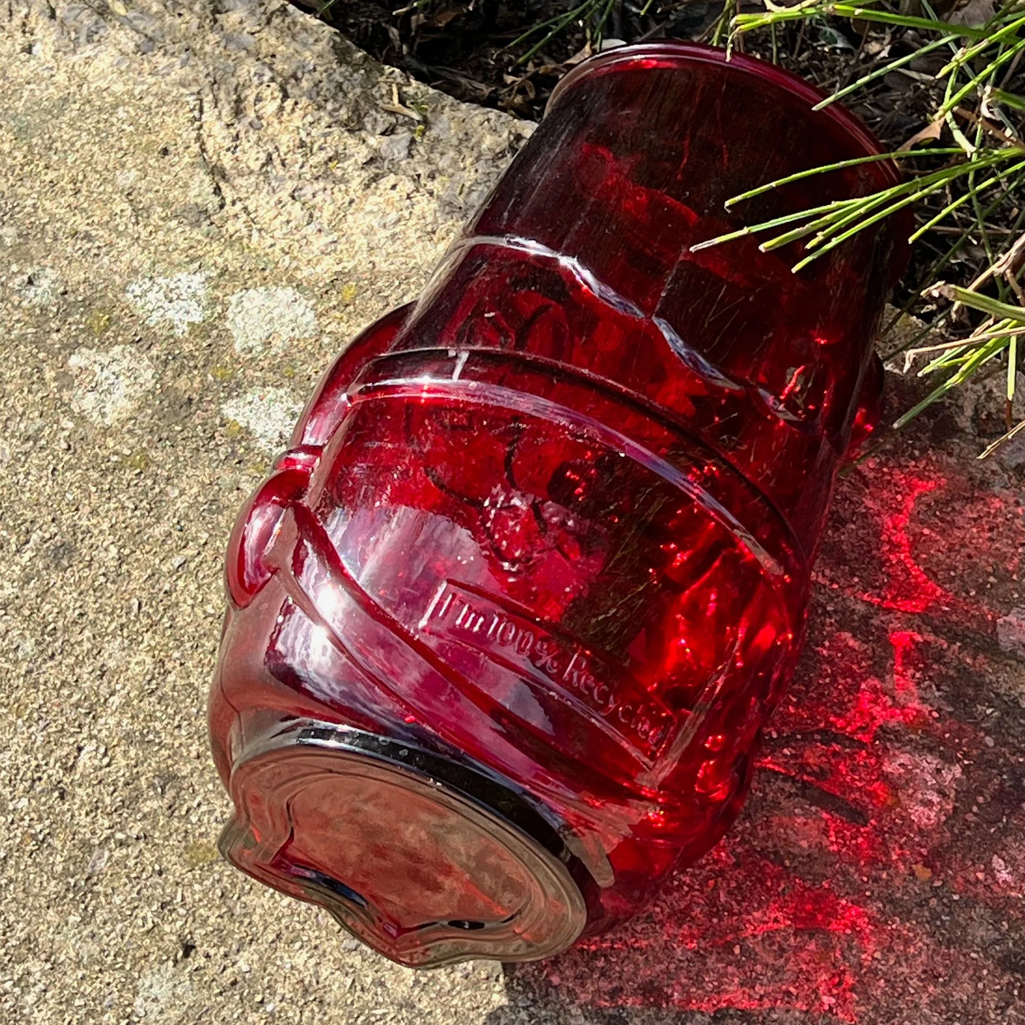 red2-pod3.jpg