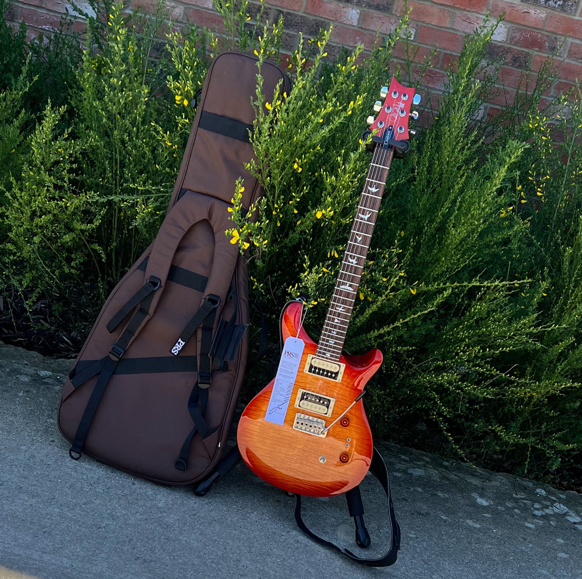 Stunning electric guitar