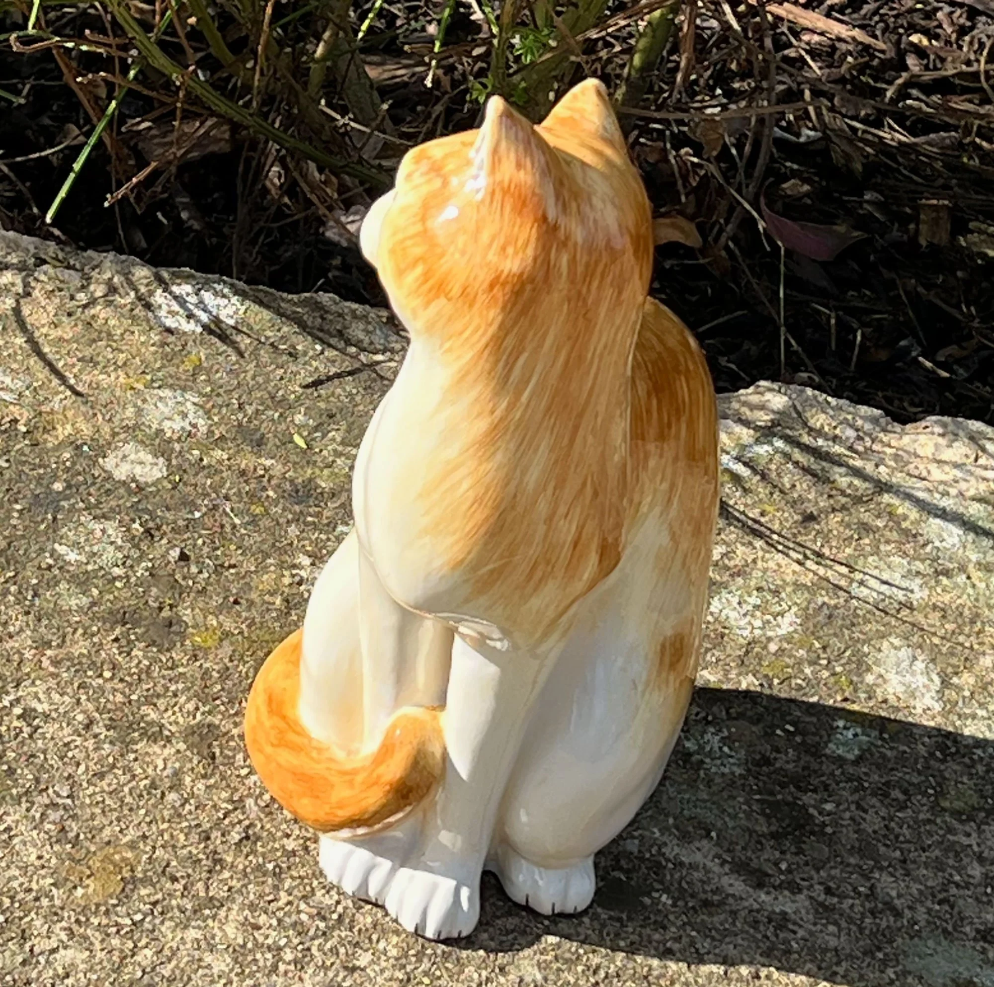 cat2-pod69.jpg