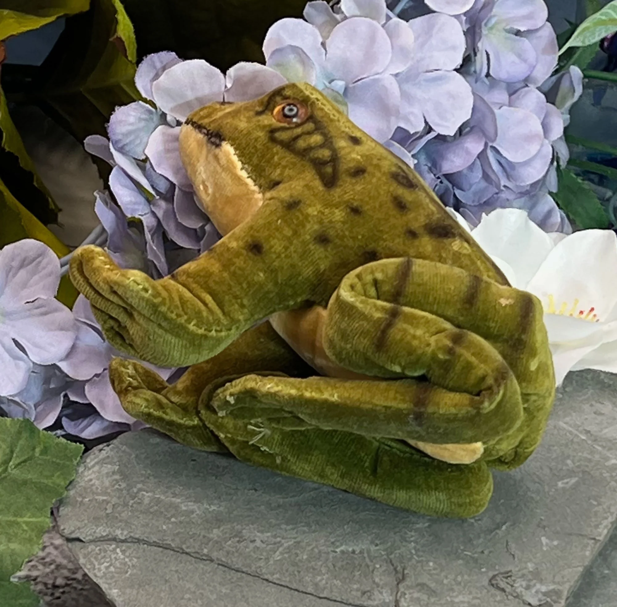 frog3-pod88.jpg