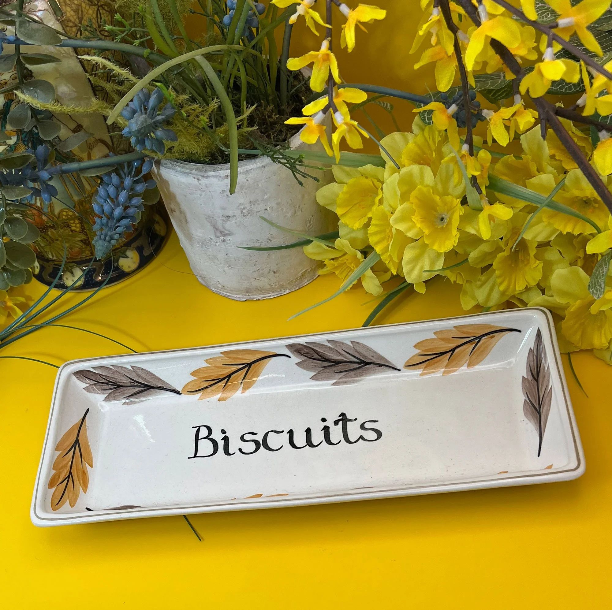 Szeiler Studio Biscuit Tray