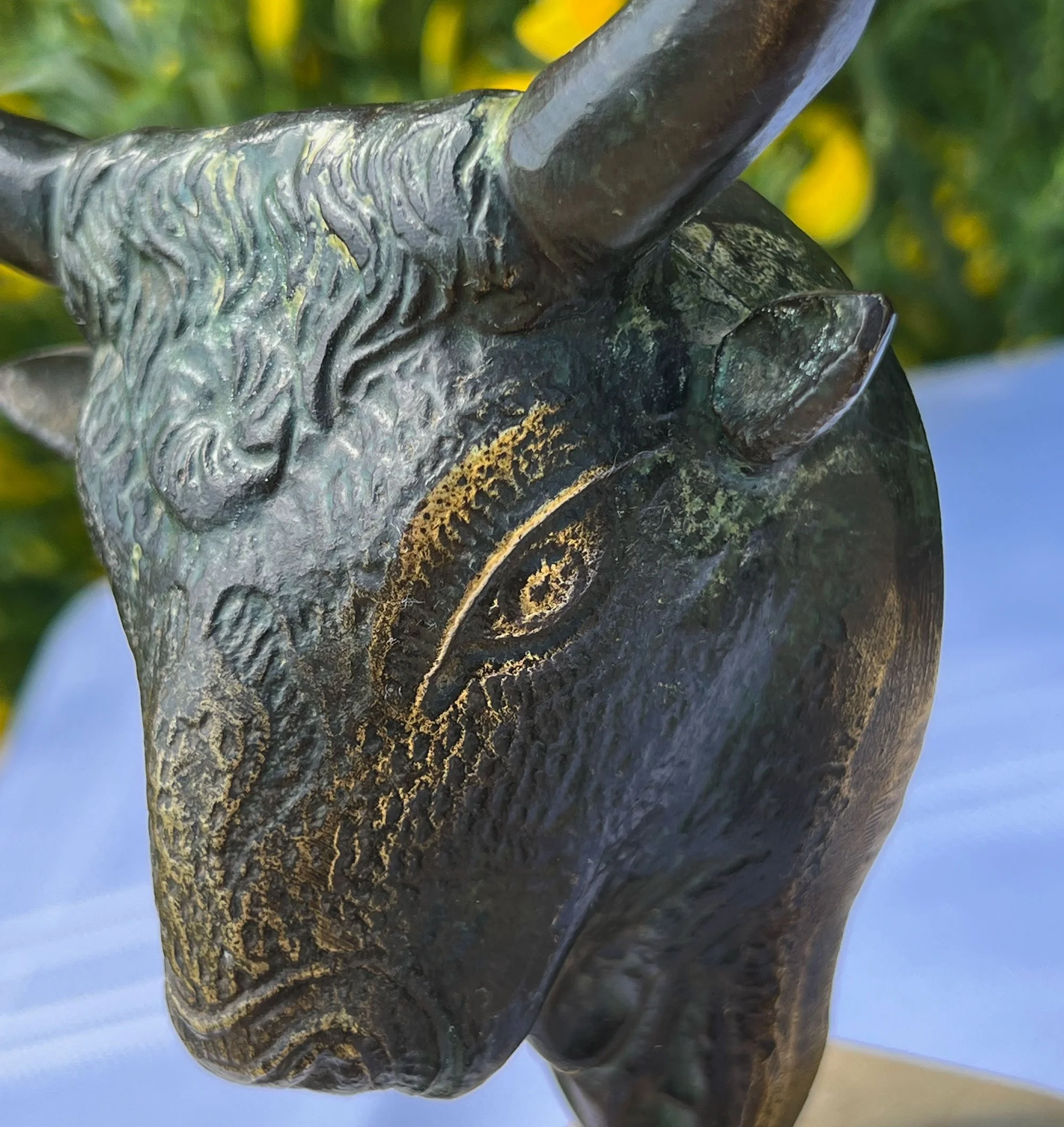 bull4-pod36.jpg