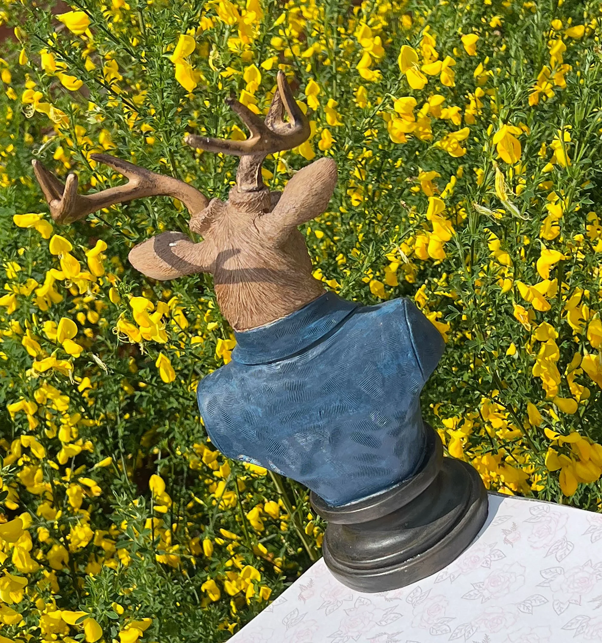 stag2-pod88.jpg