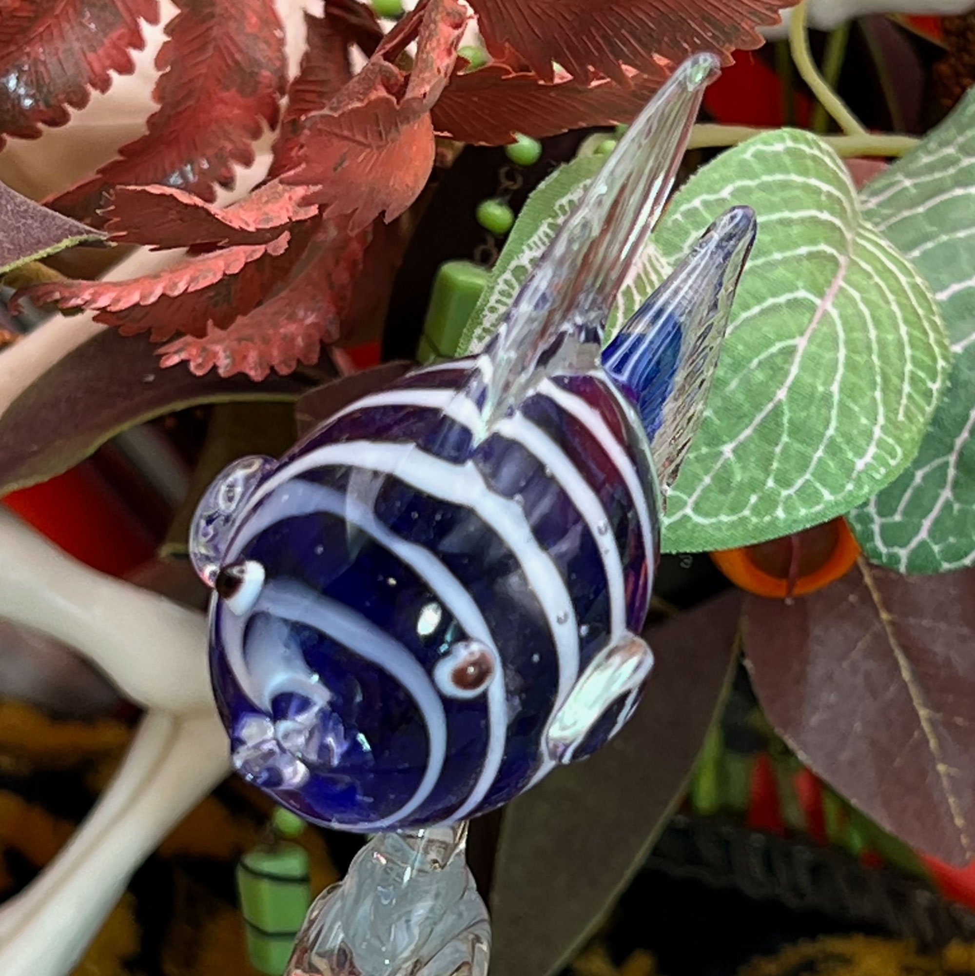 fish3-pod36.jpg
